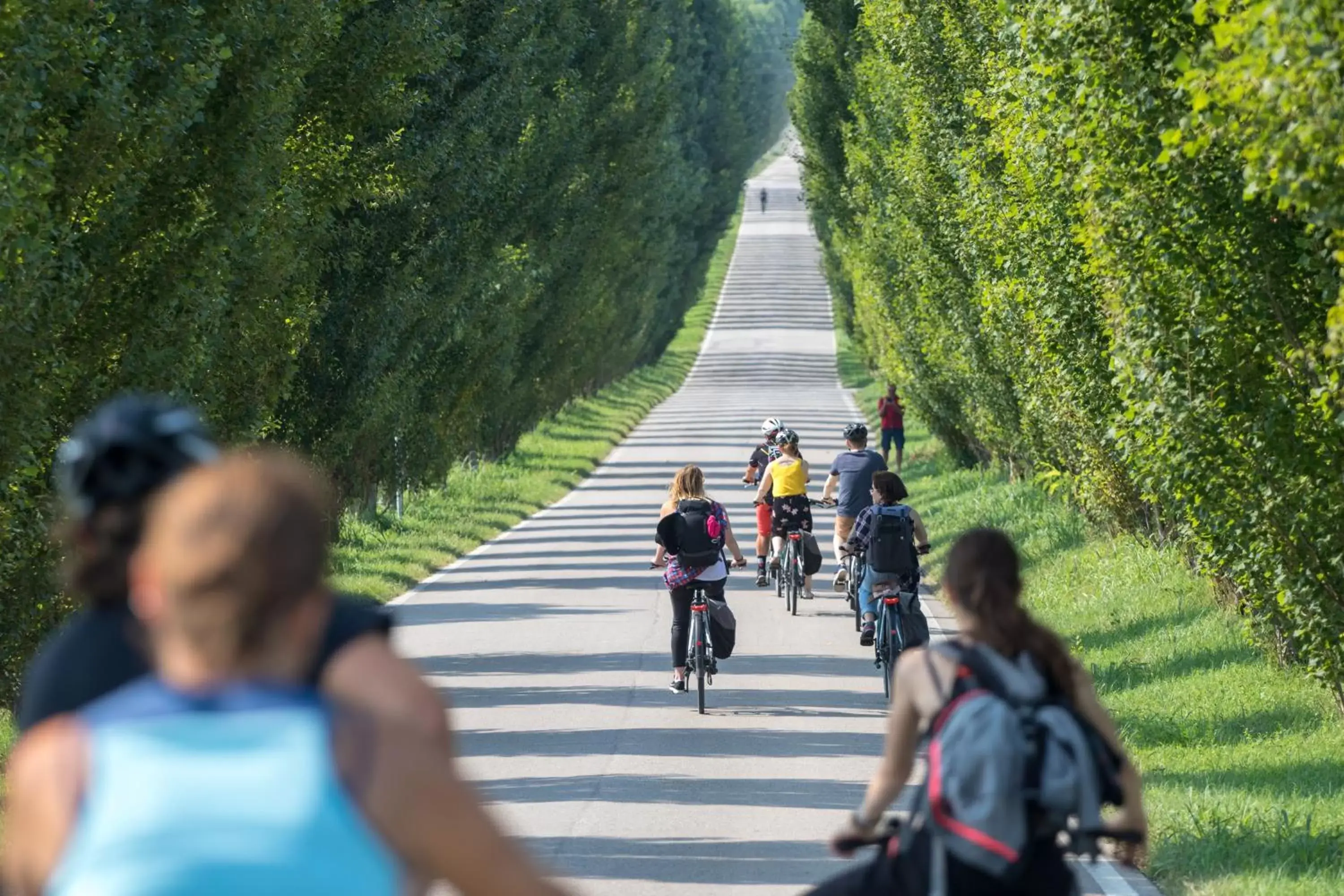 Cycling in Hotel Veronesi La Torre