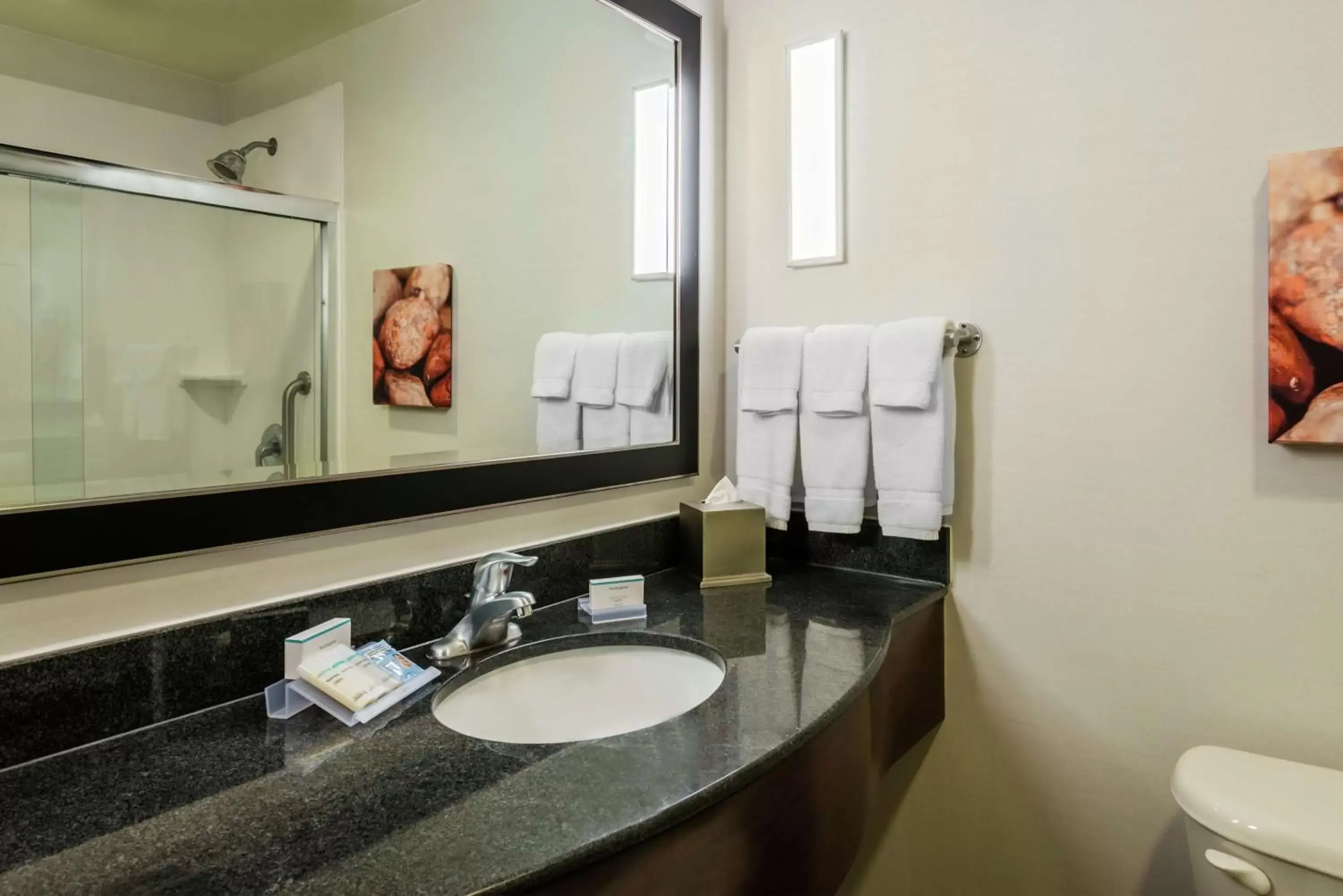 Bathroom in Hilton Garden Inn West Palm Beach Airport