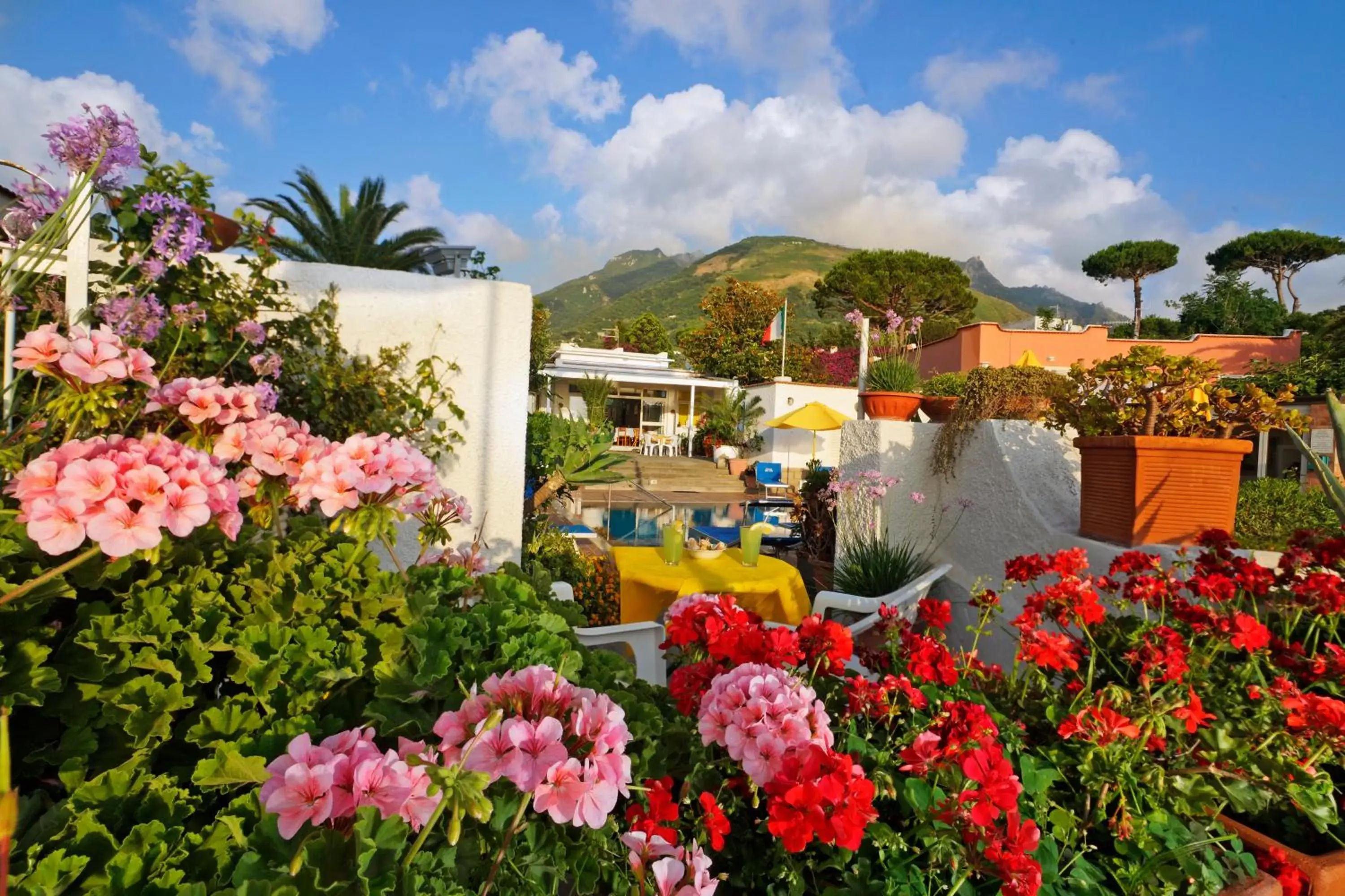 Garden, Pool View in Hotel Villa Mena