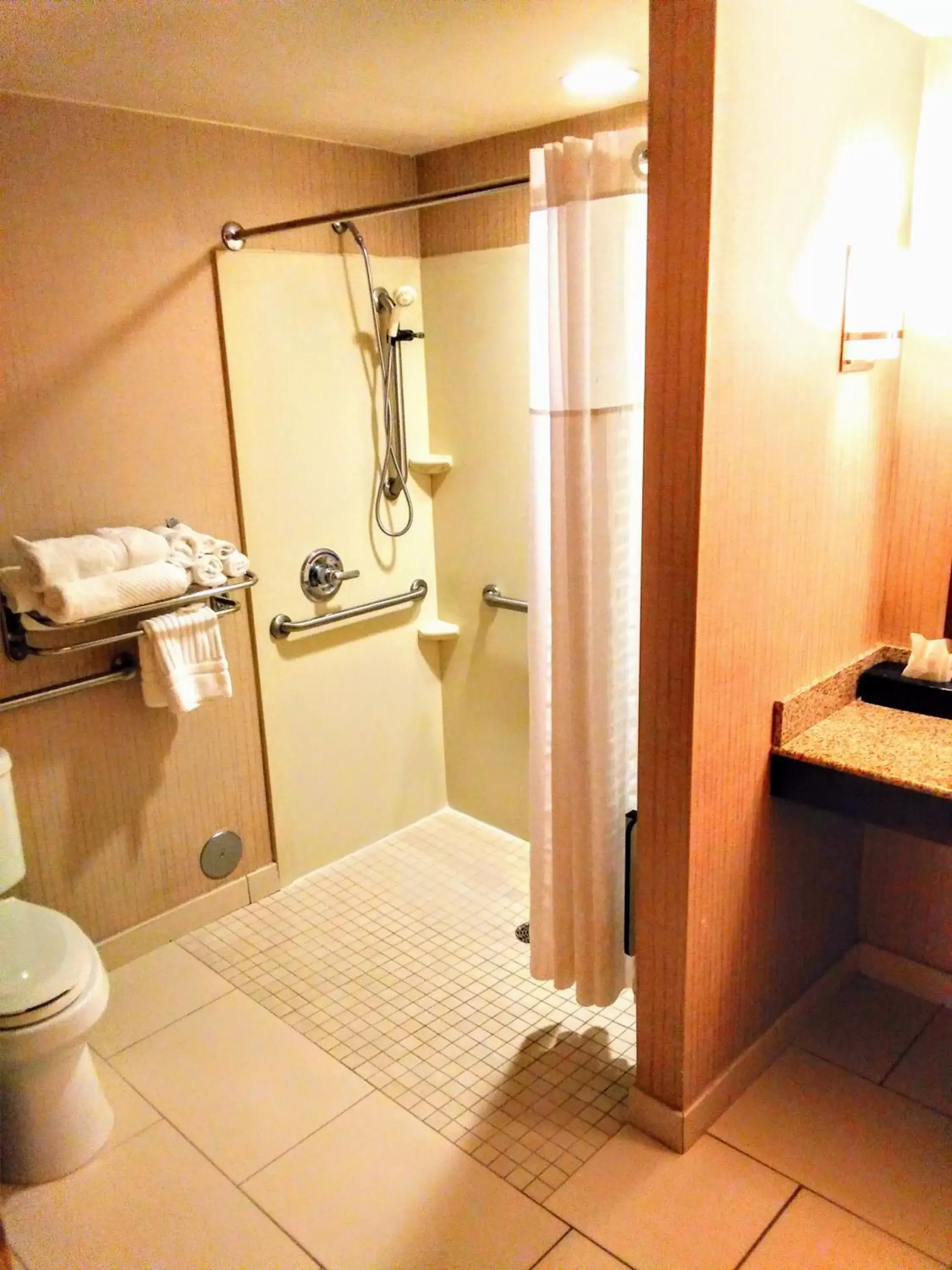 Bathroom in Comfort Suites Texarkana Arkansas