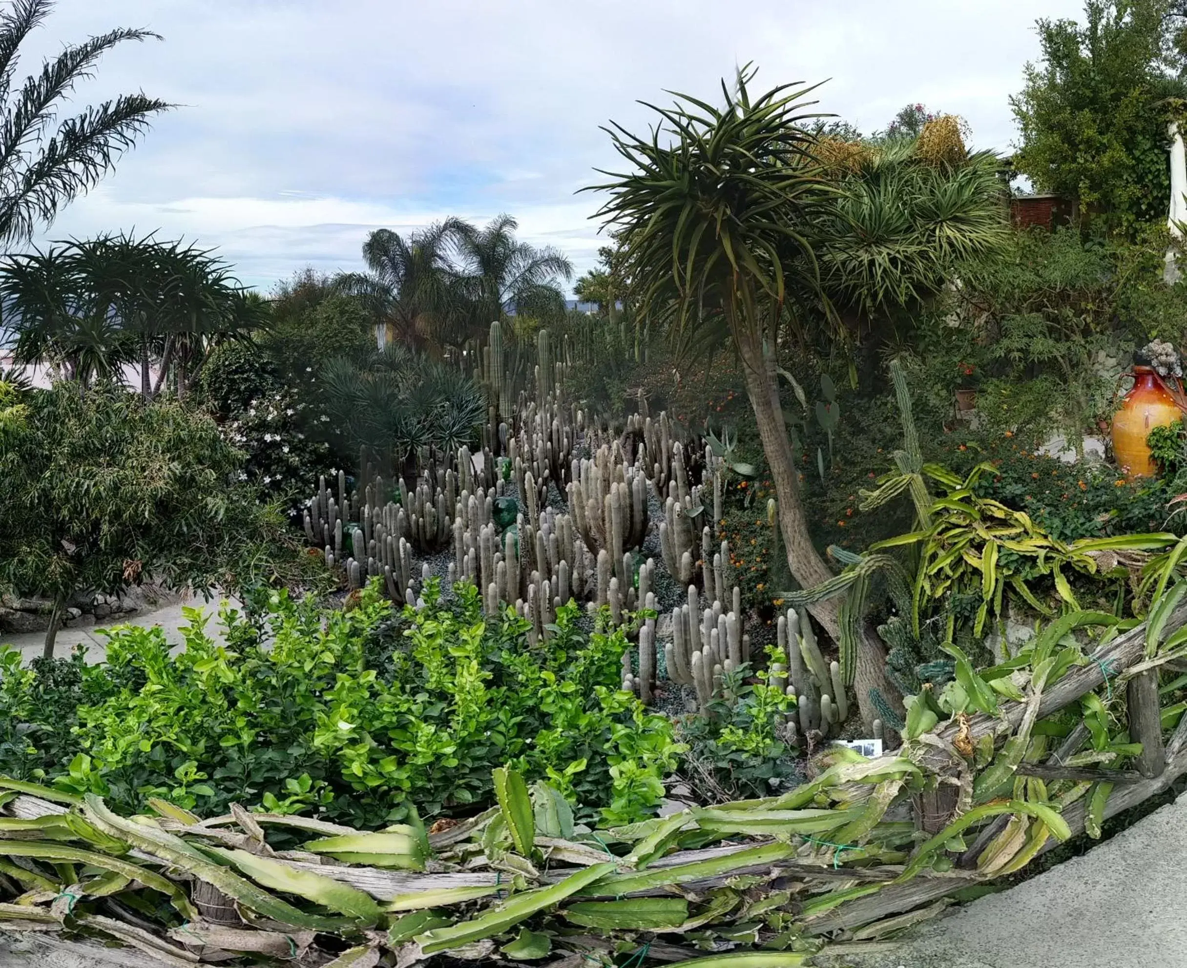 Garden in Villa Ravino Aparthotel