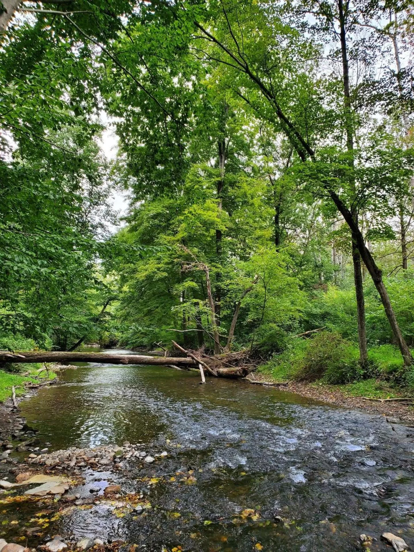 Natural landscape in Glenwood Inn - Stroudsburg