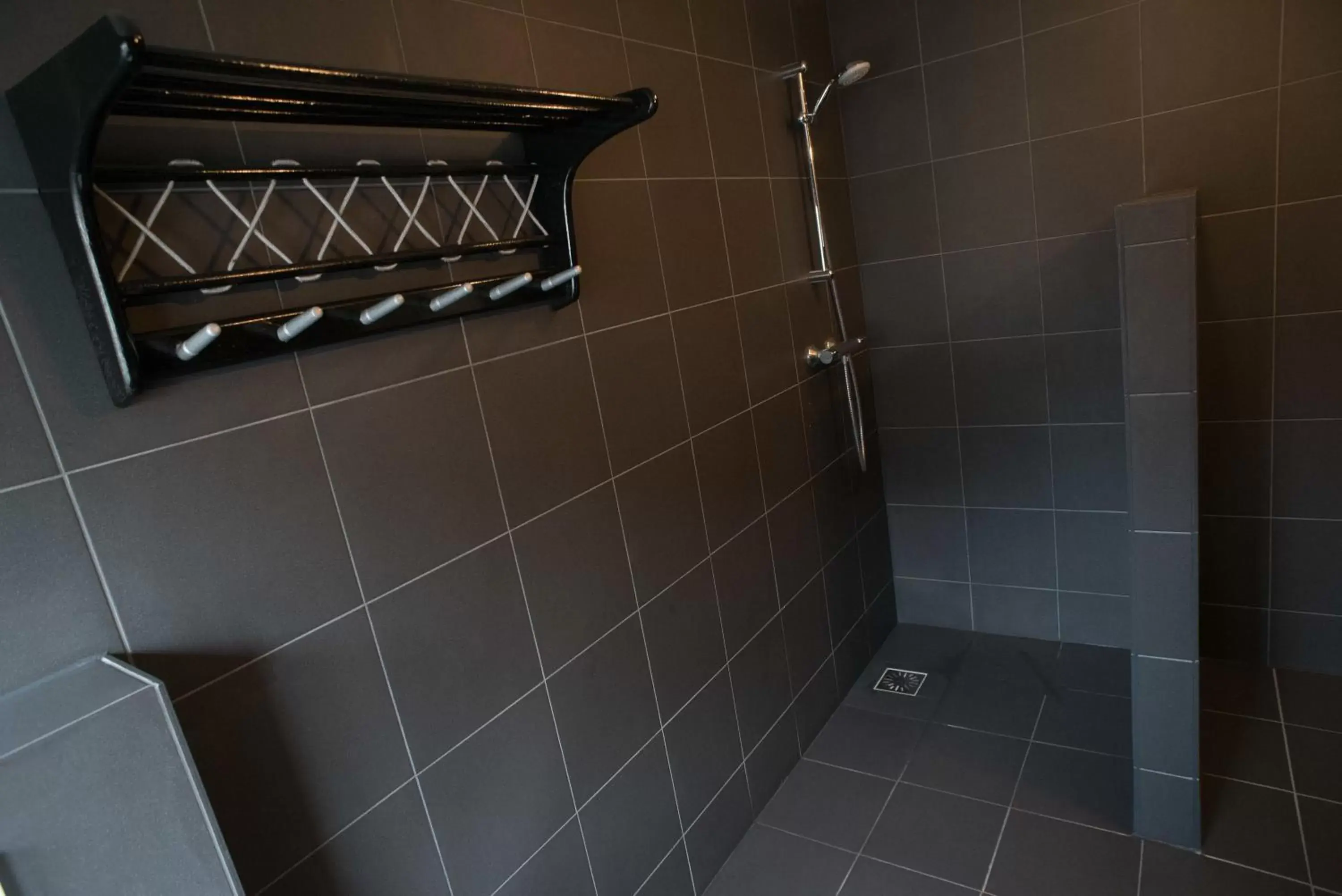 Shower, Bathroom in Hotel Buren