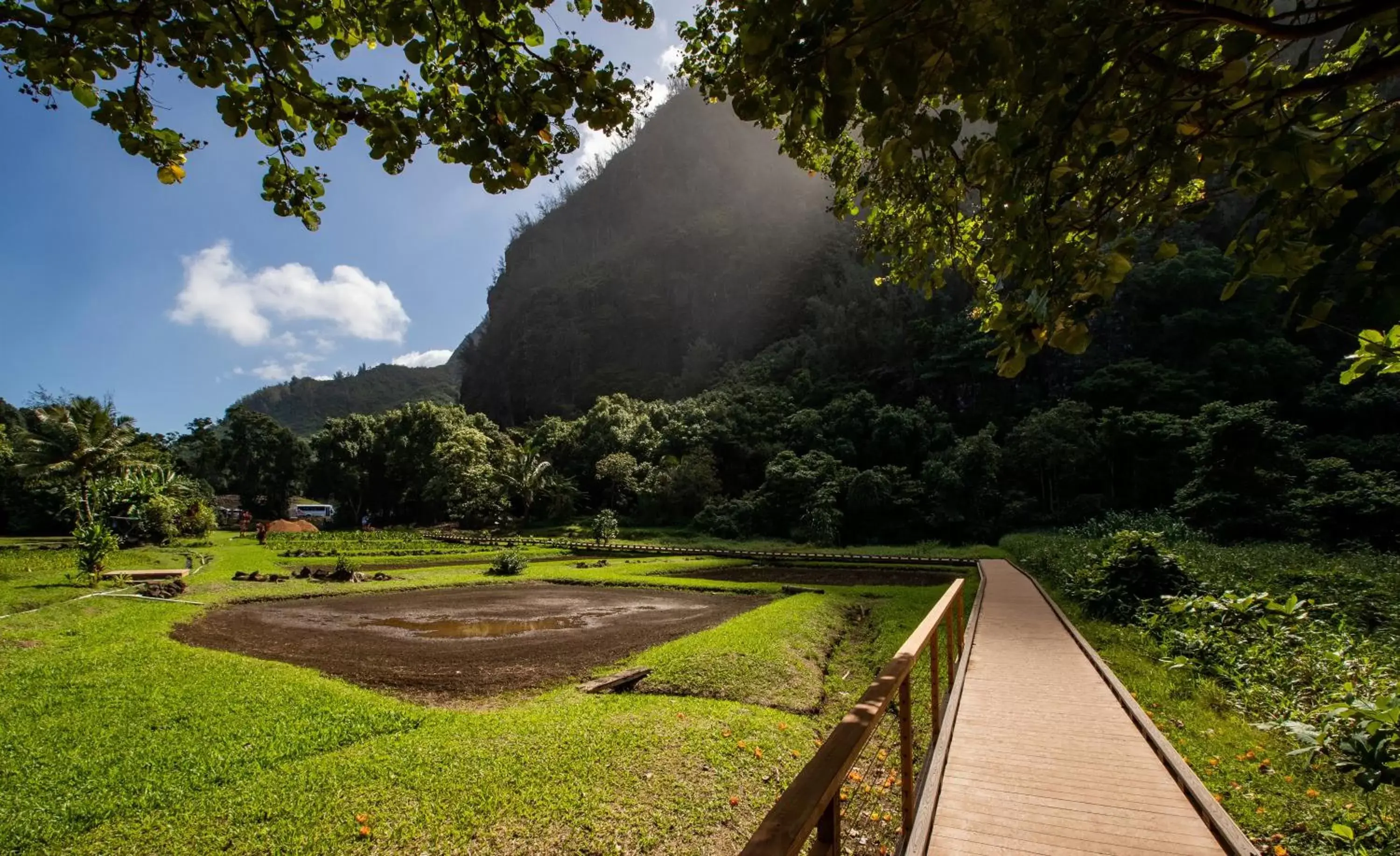 Garden view in Hanalei Colony Resort