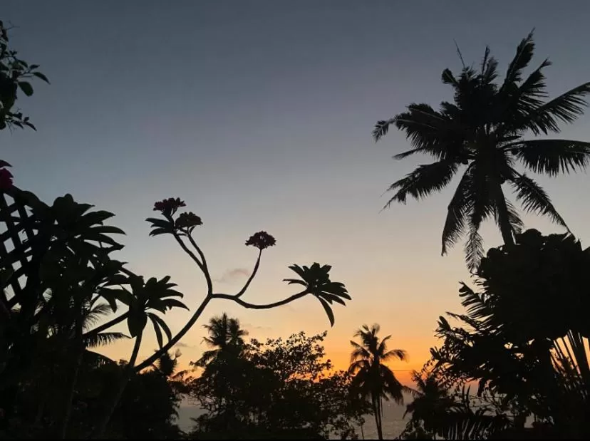 Garden in Villa Jacaranda
