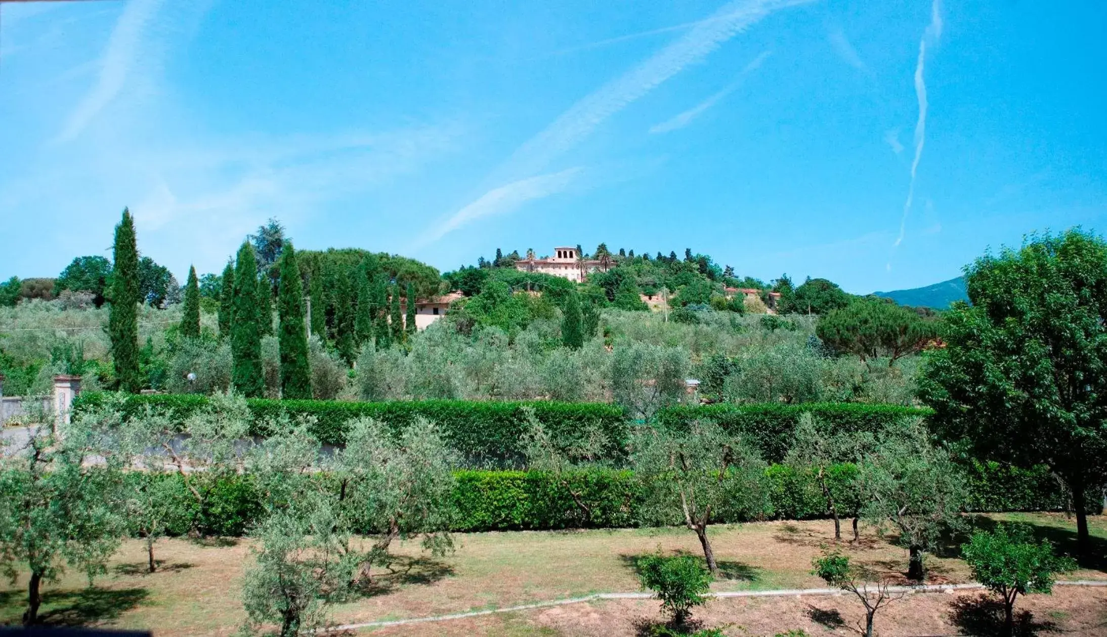 Day, Garden in Hotel Villa Cappugi