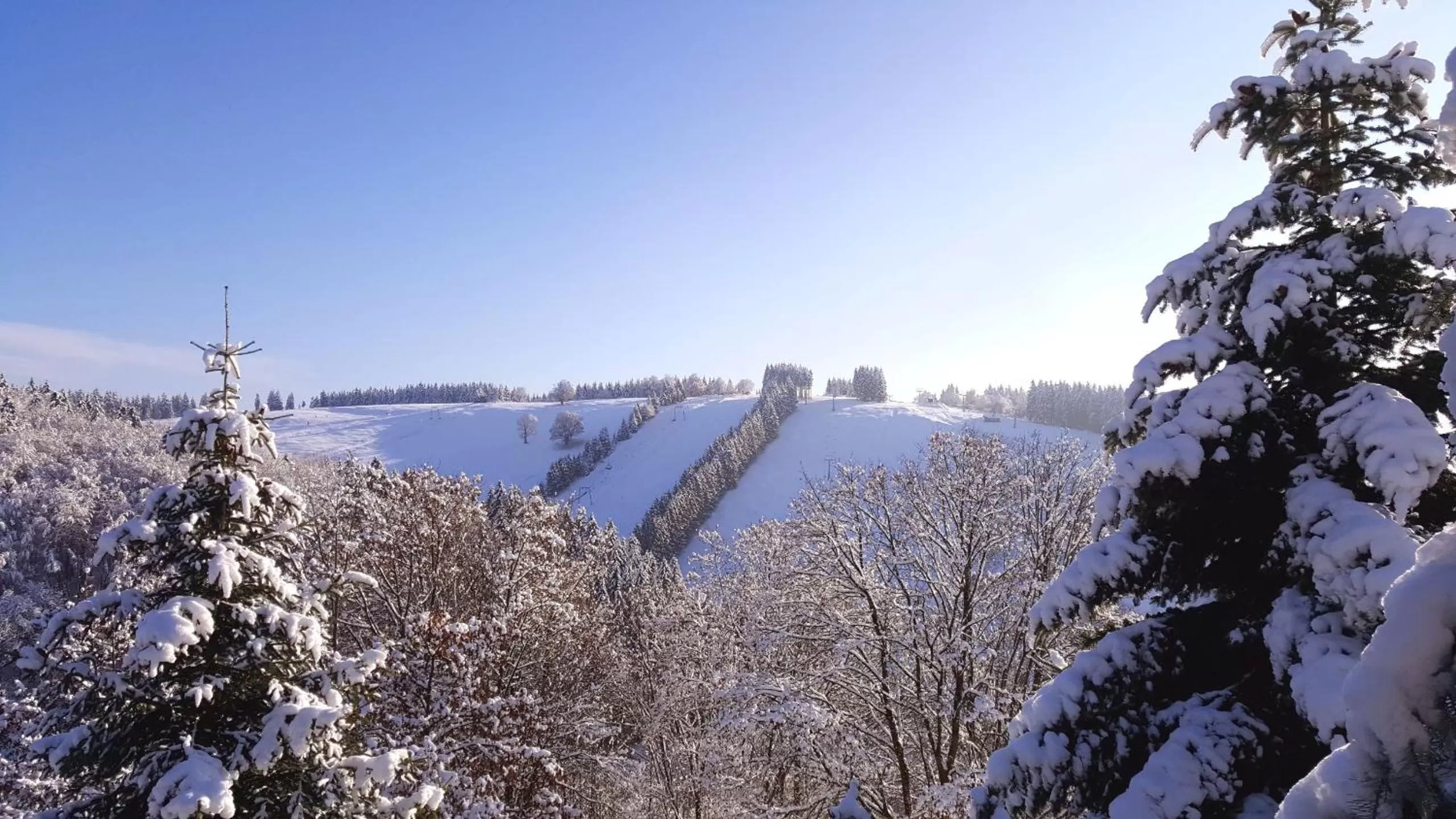 View (from property/room) in Harz BnB Werkmeister