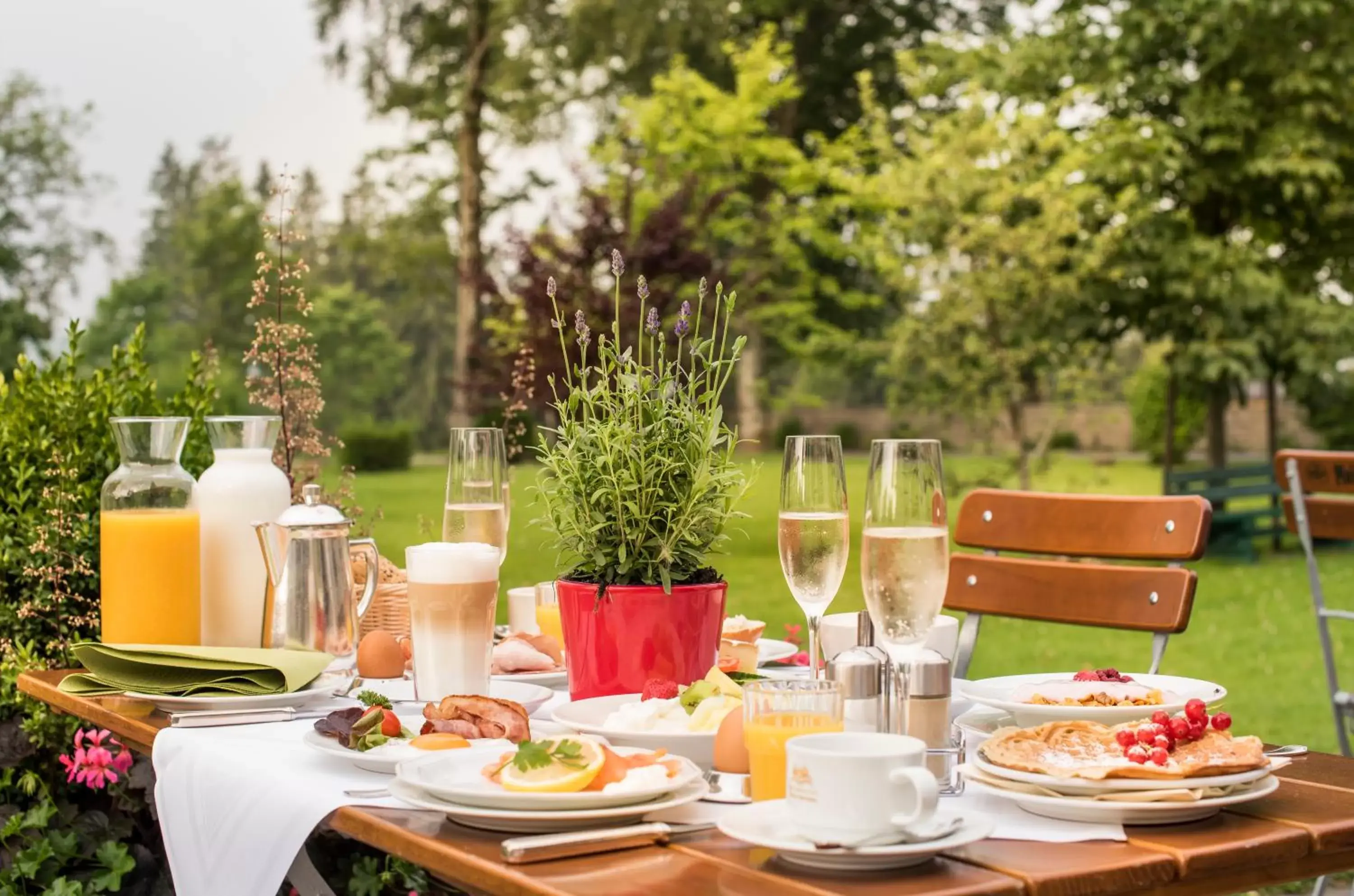 Balcony/Terrace in Berghotel Hoher Knochen