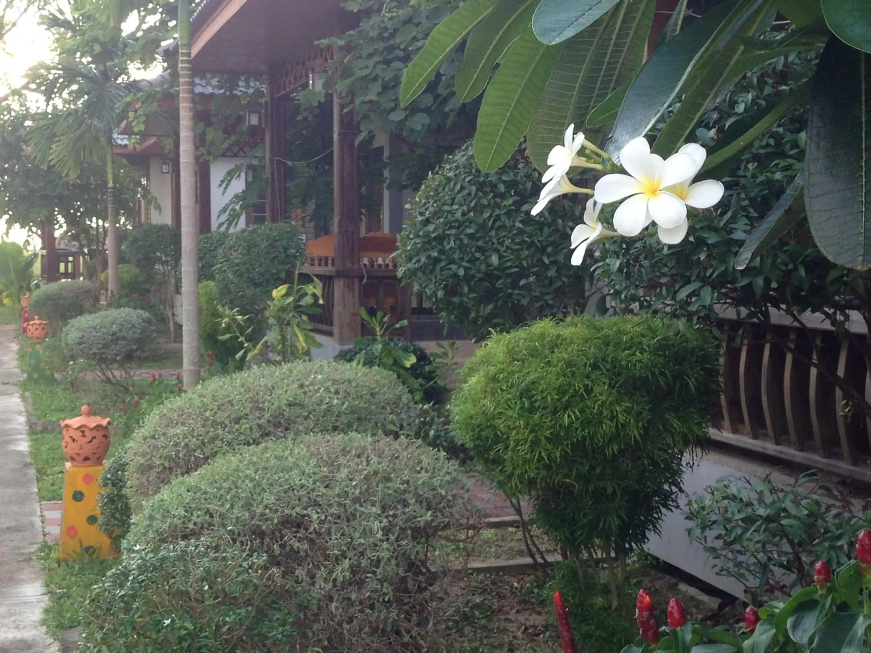 Day, Garden in Khum Laanta Resort - SHA Extra Plus