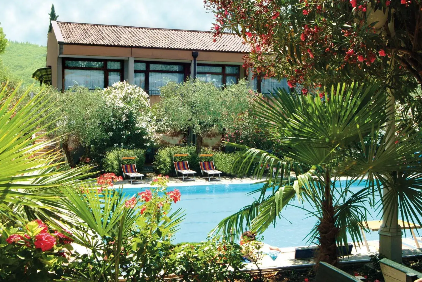 Day, Swimming Pool in Sport Hotel Olimpo
