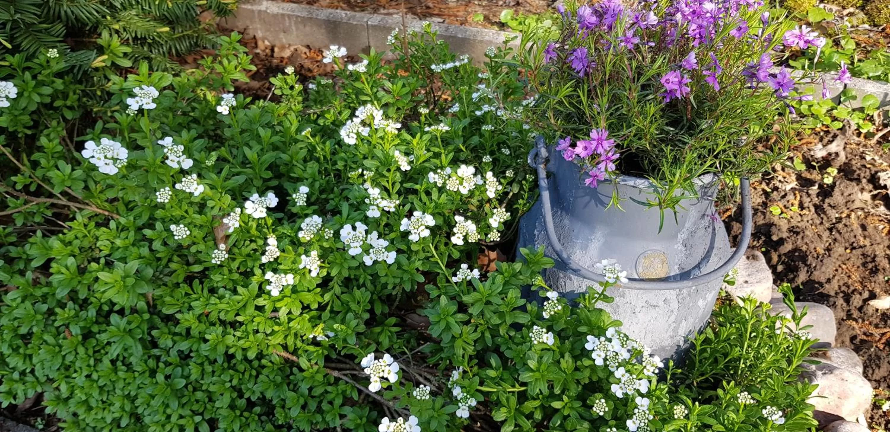 Garden view in Berghof Hotel