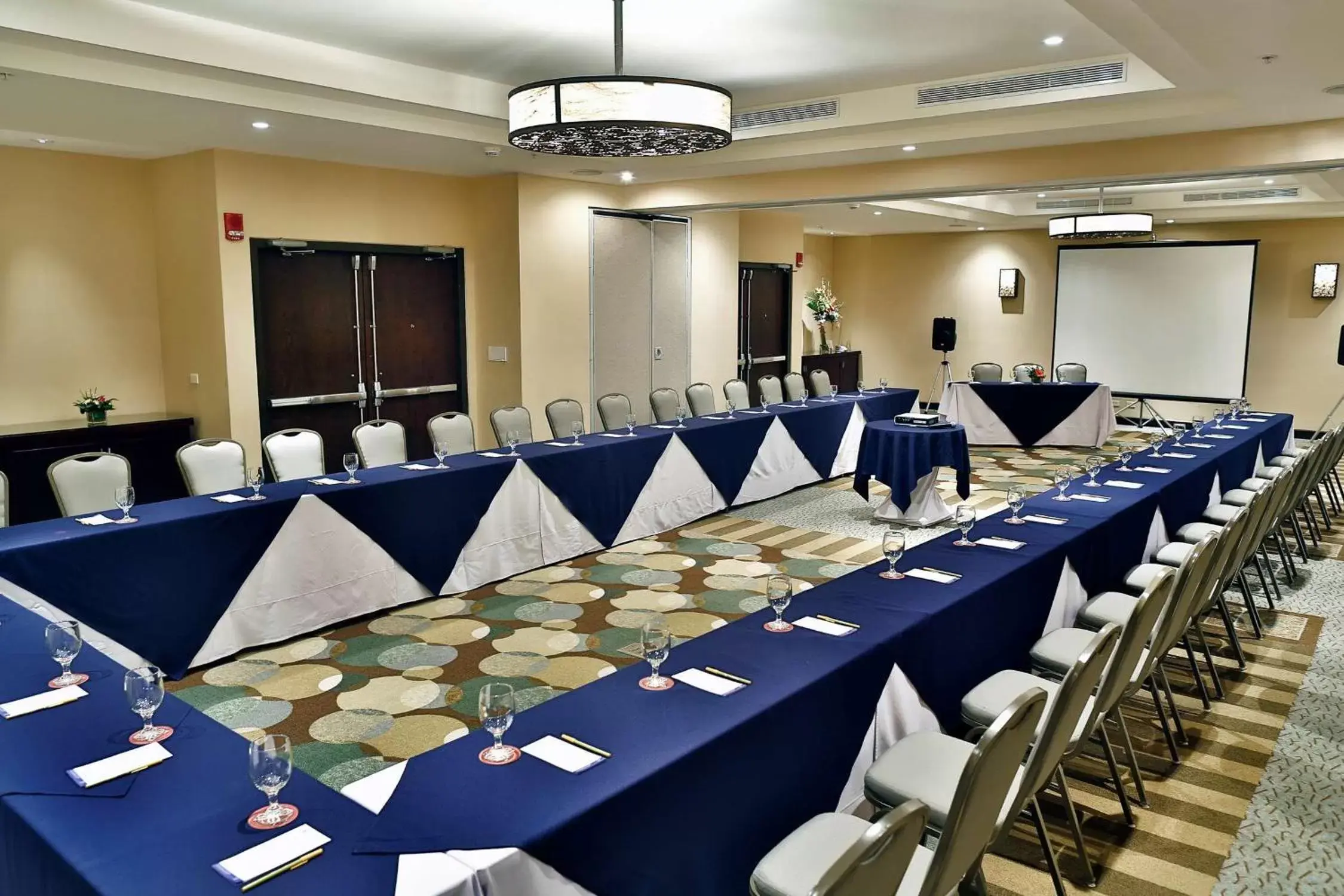 Meeting/conference room in Hilton Garden Inn Guanacaste Airport