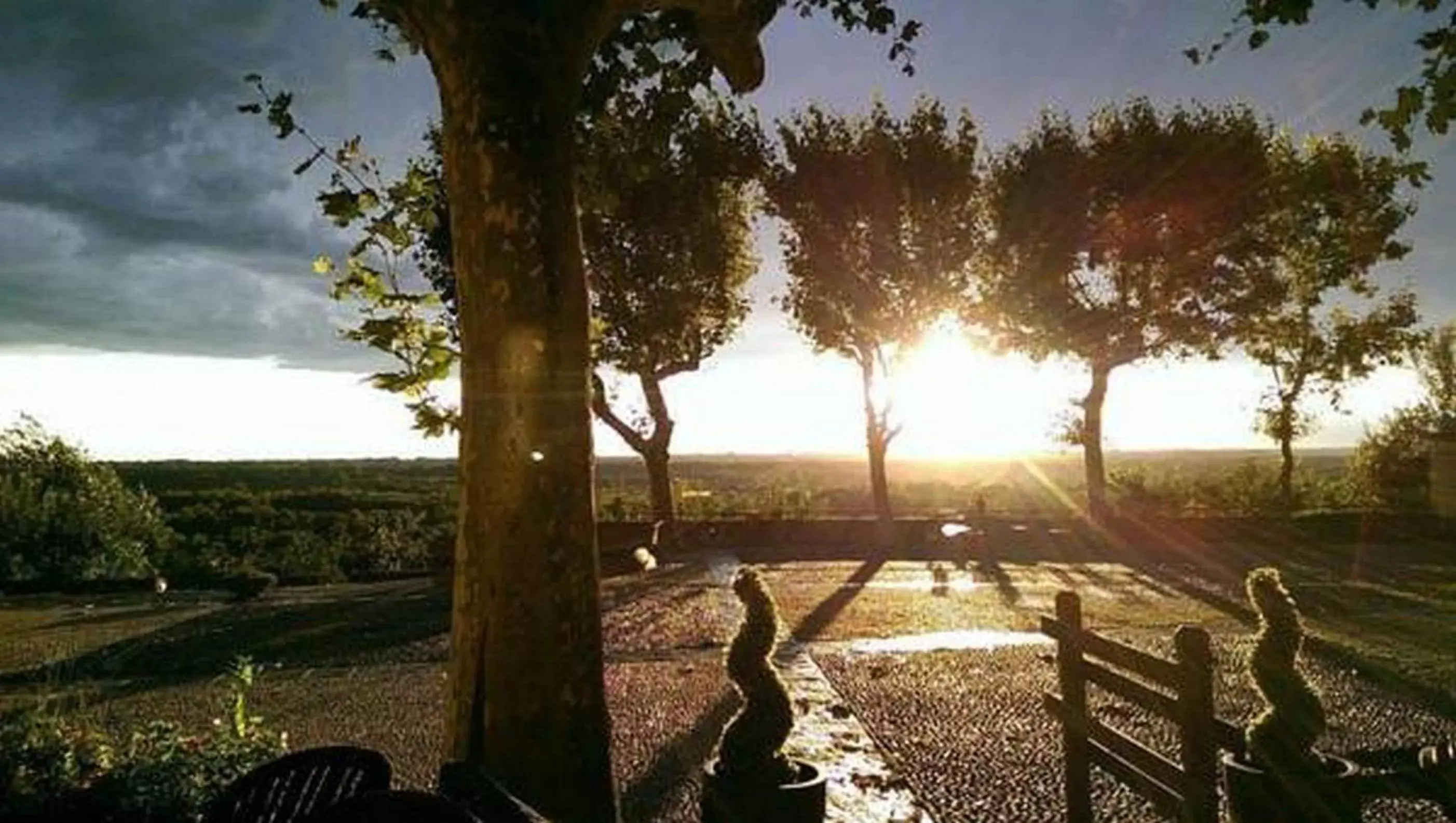 Natural landscape in Airport Hotel Malpensa