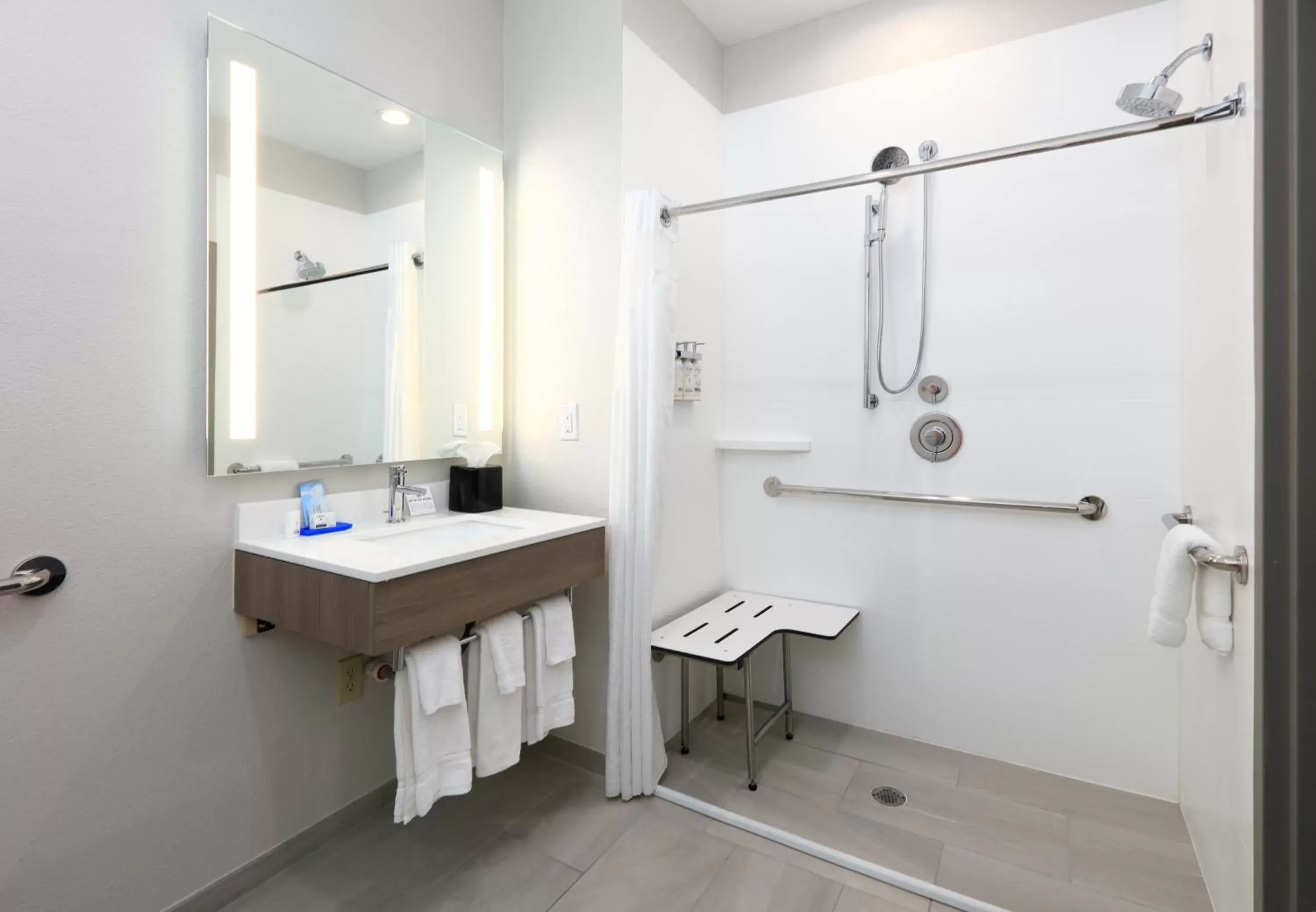 Shower, Bathroom in Holiday Inn Express & Suites North Dallas at Preston, an IHG Hotel