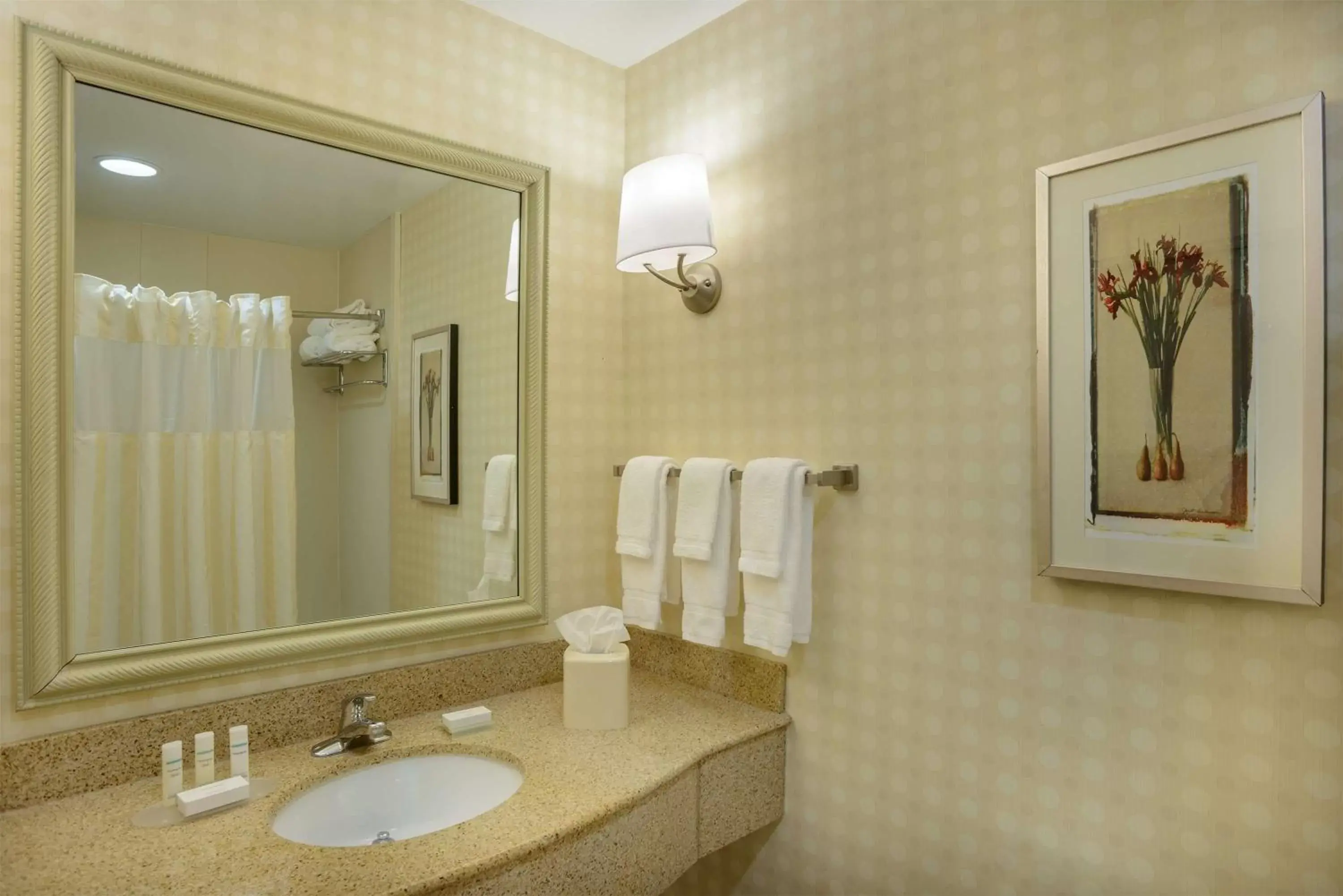 Bathroom in Hilton Garden Inn Joplin