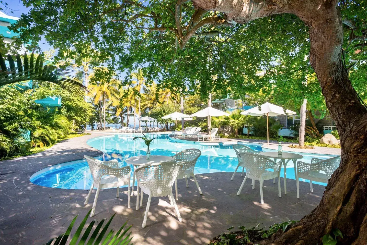 Swimming Pool in AzulPitaya Beach Front Hotel in Sayulita