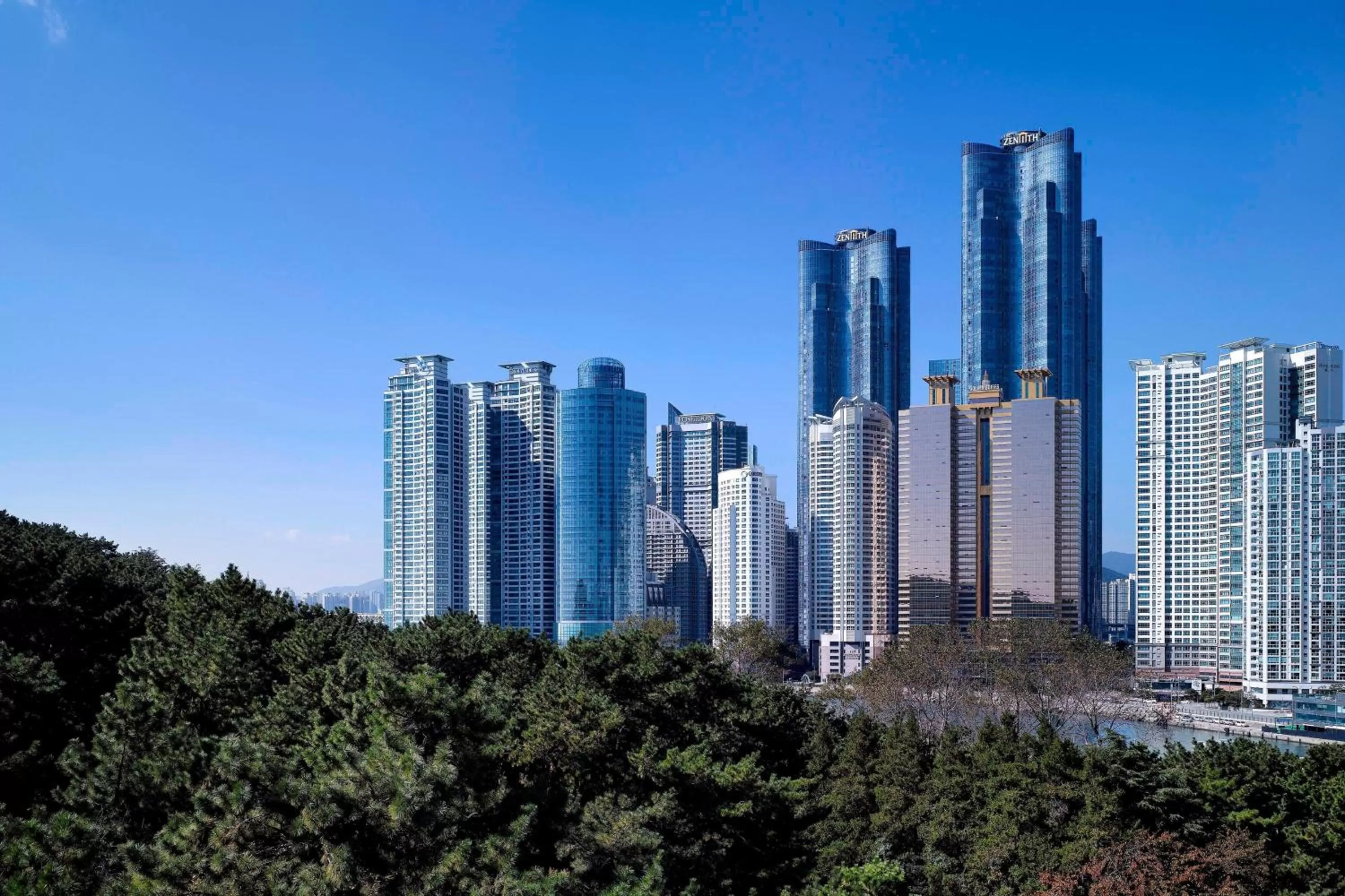 Photo of the whole room in The Westin Josun Busan