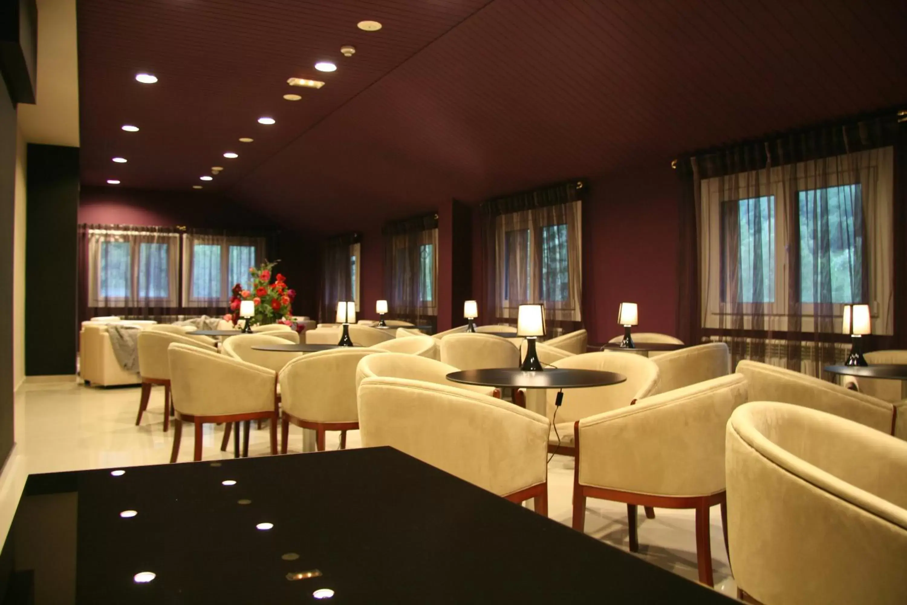 Lounge or bar, Lounge/Bar in Hotel & SPA Bringué