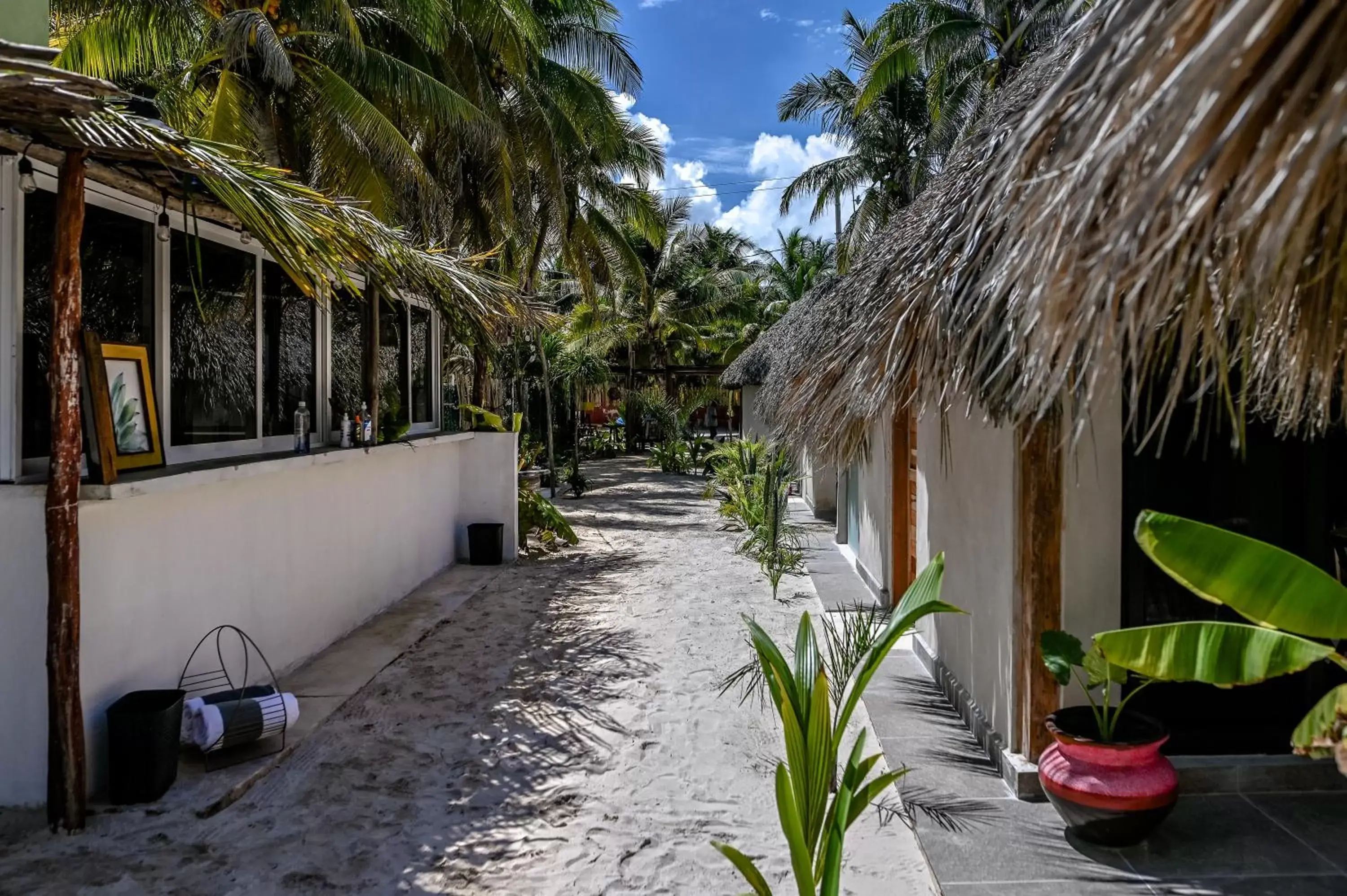 Restaurant/places to eat in Casa Mate BeachFront Cabañas El Cuyo