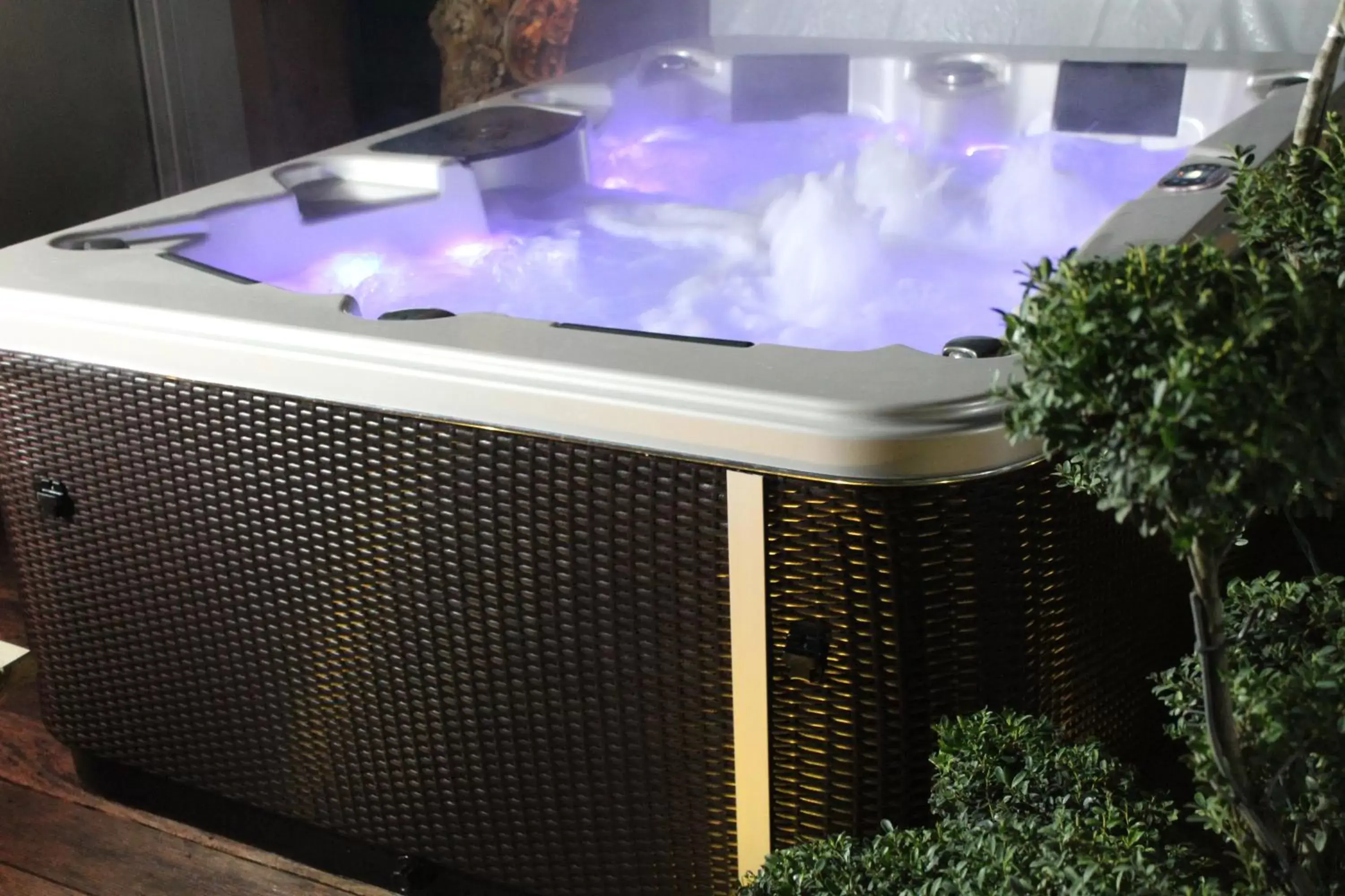 Hot Tub in Hotel et Spa Le Lion d'Or