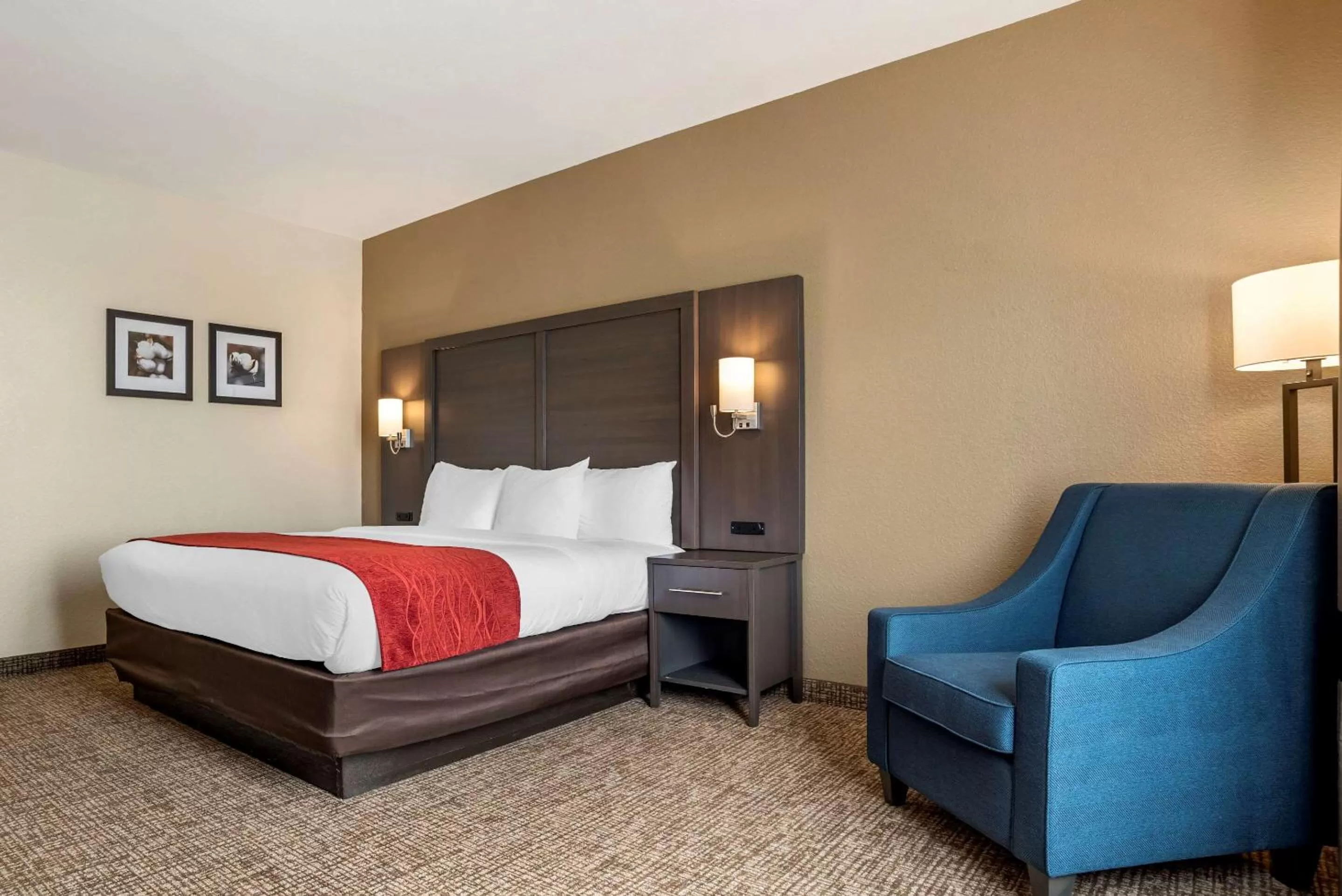 Photo of the whole room, Bed in Comfort Inn & Suites Millbrook-Prattville