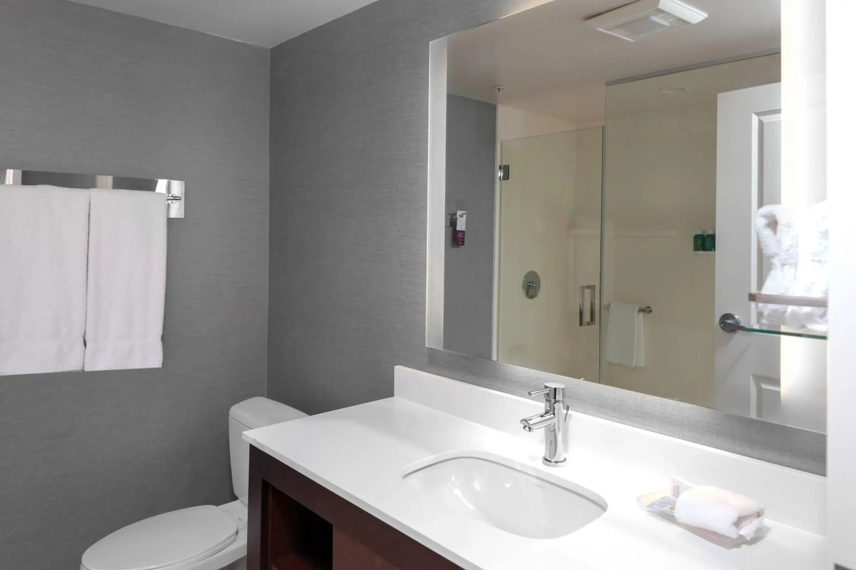 Bathroom in Residence Inn by Marriott Atlanta McDonough