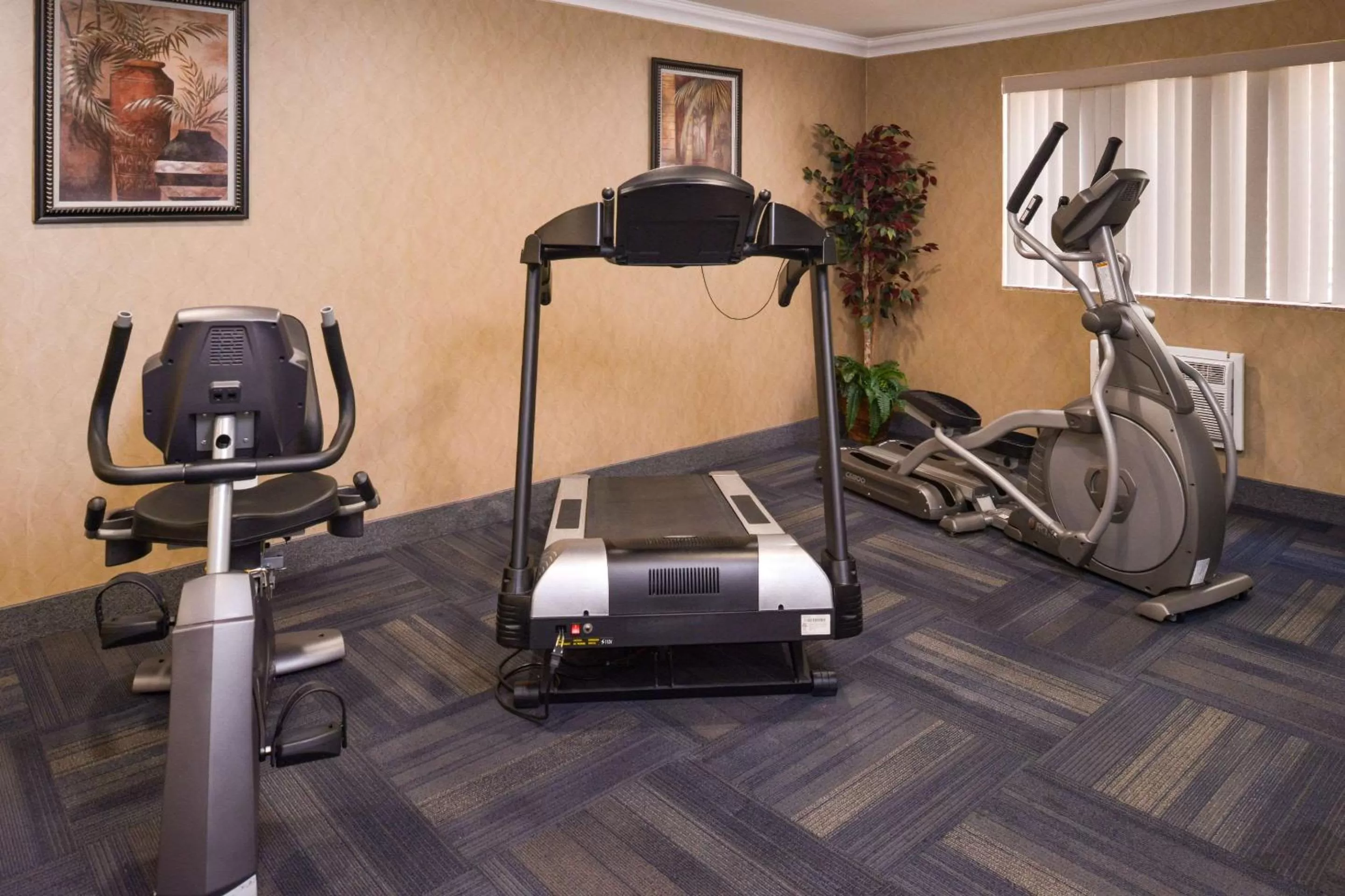 Fitness centre/facilities in Quality Inn & Suites Walnut - City of Industry