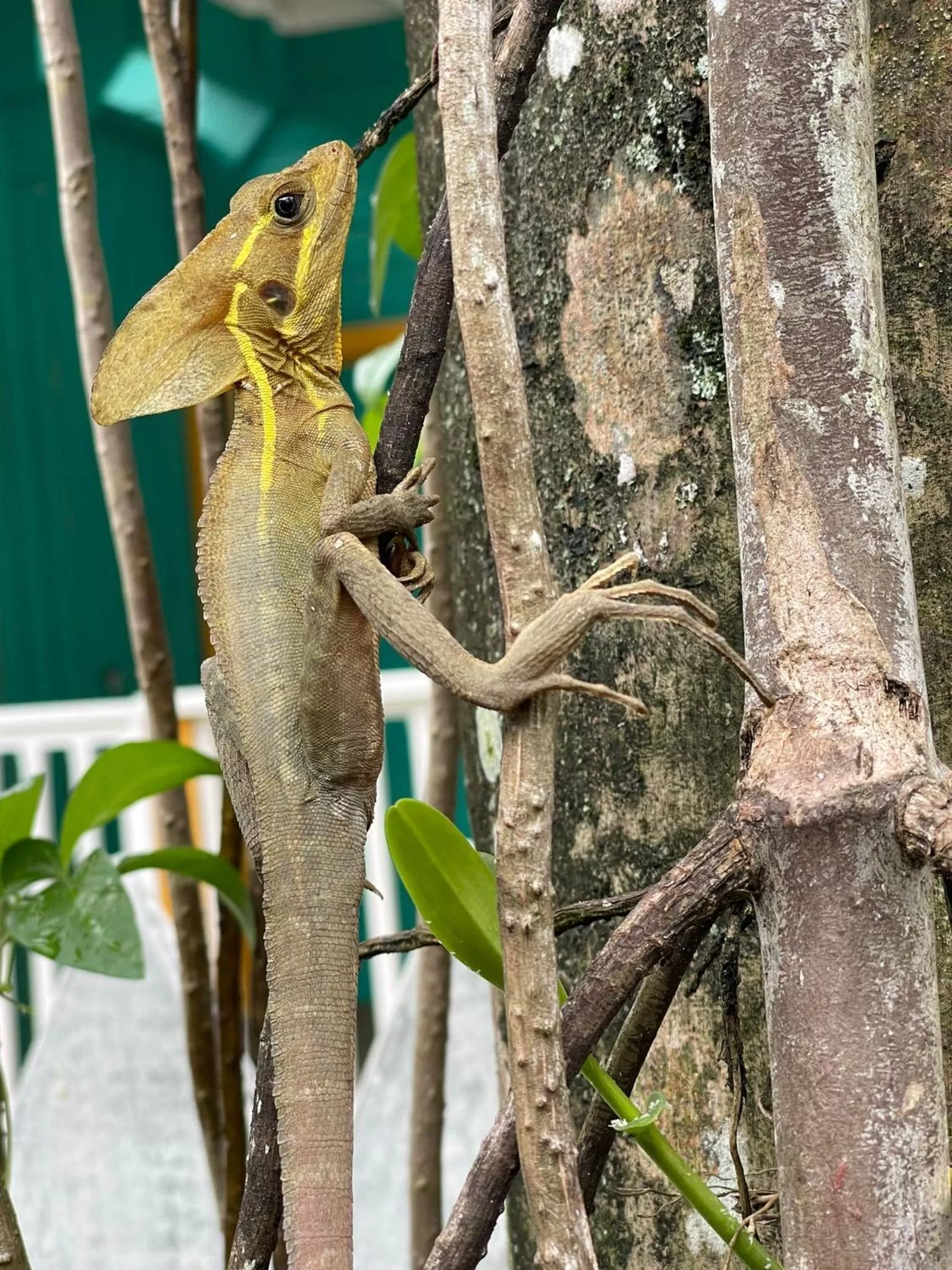 Natural landscape in RIVA B&B