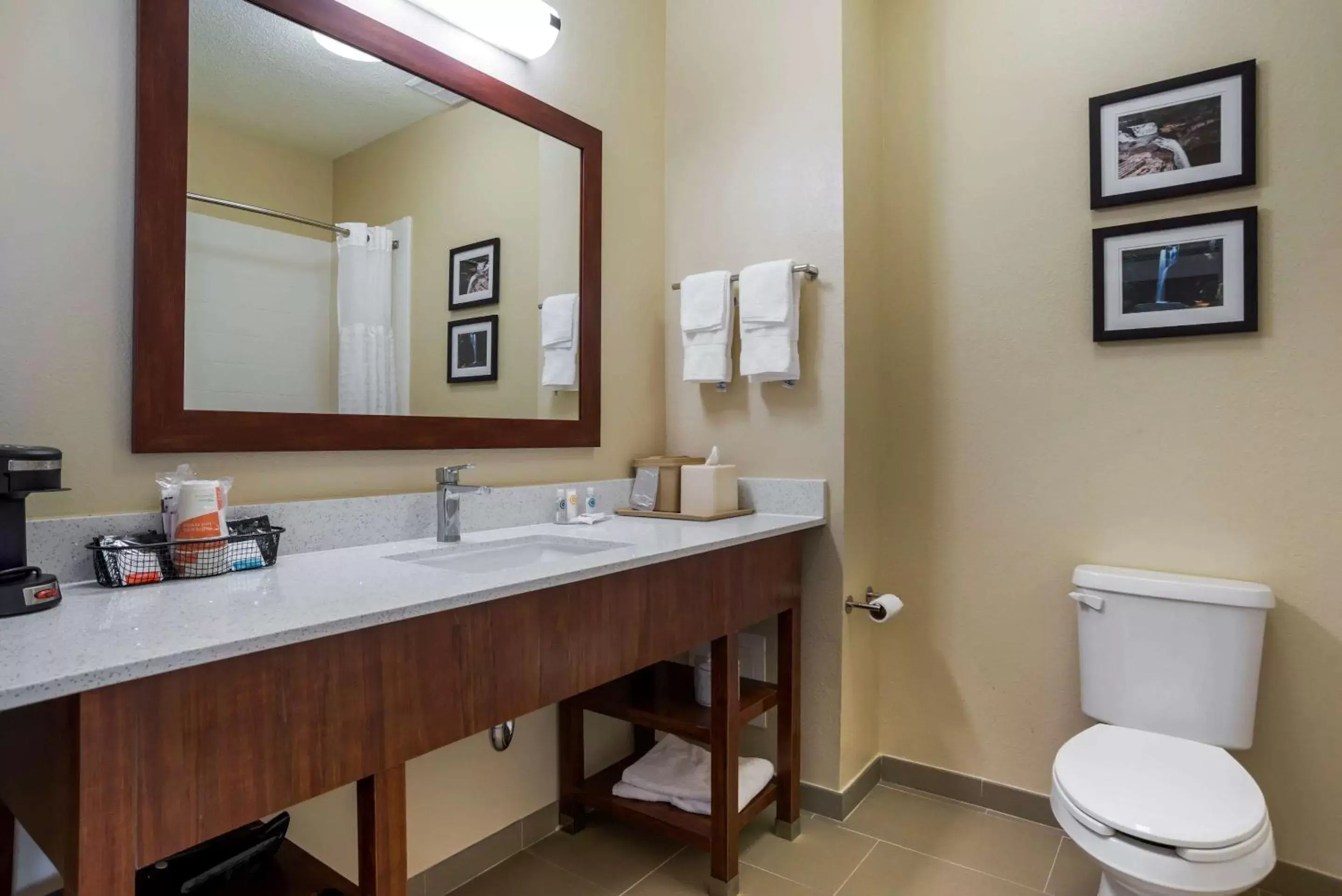 Photo of the whole room, Bathroom in Comfort Inn Greenville I-65