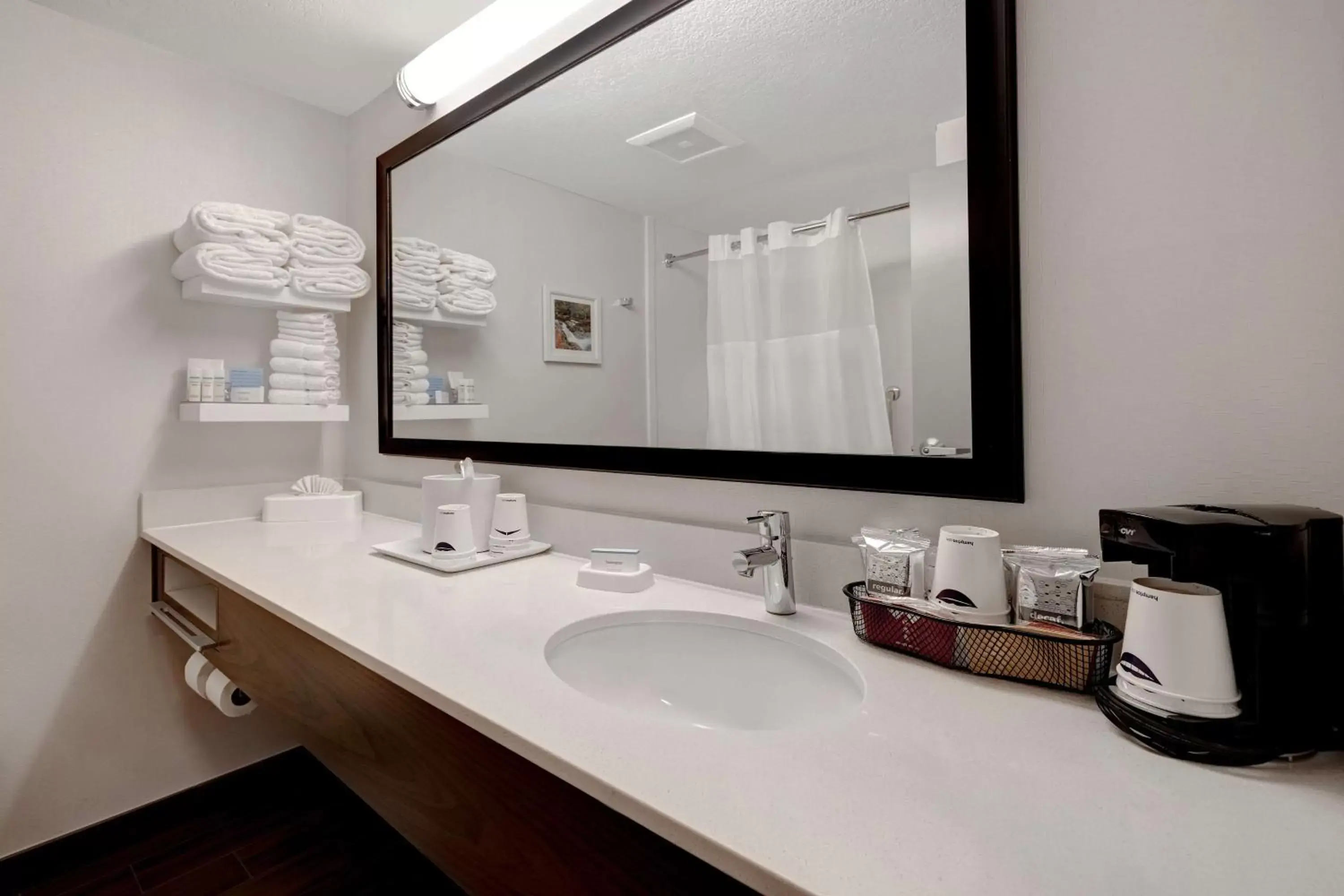 Bathroom in Hampton Inn & Suites by Hilton in Hot Springs, Arkansas