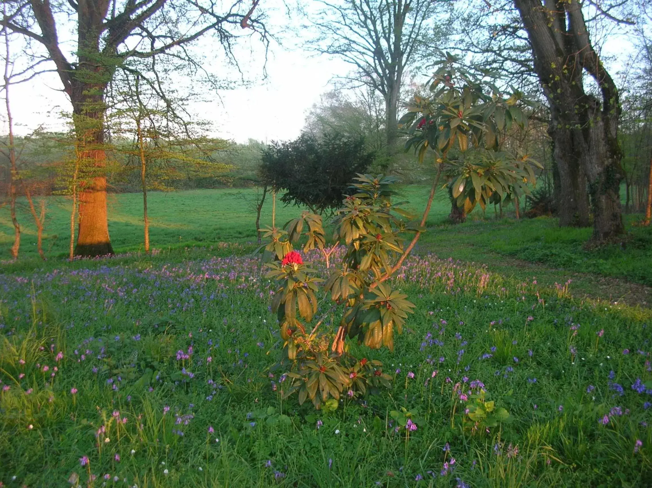 Hiking, Garden in Hôtel des 4 continents - Le Mans