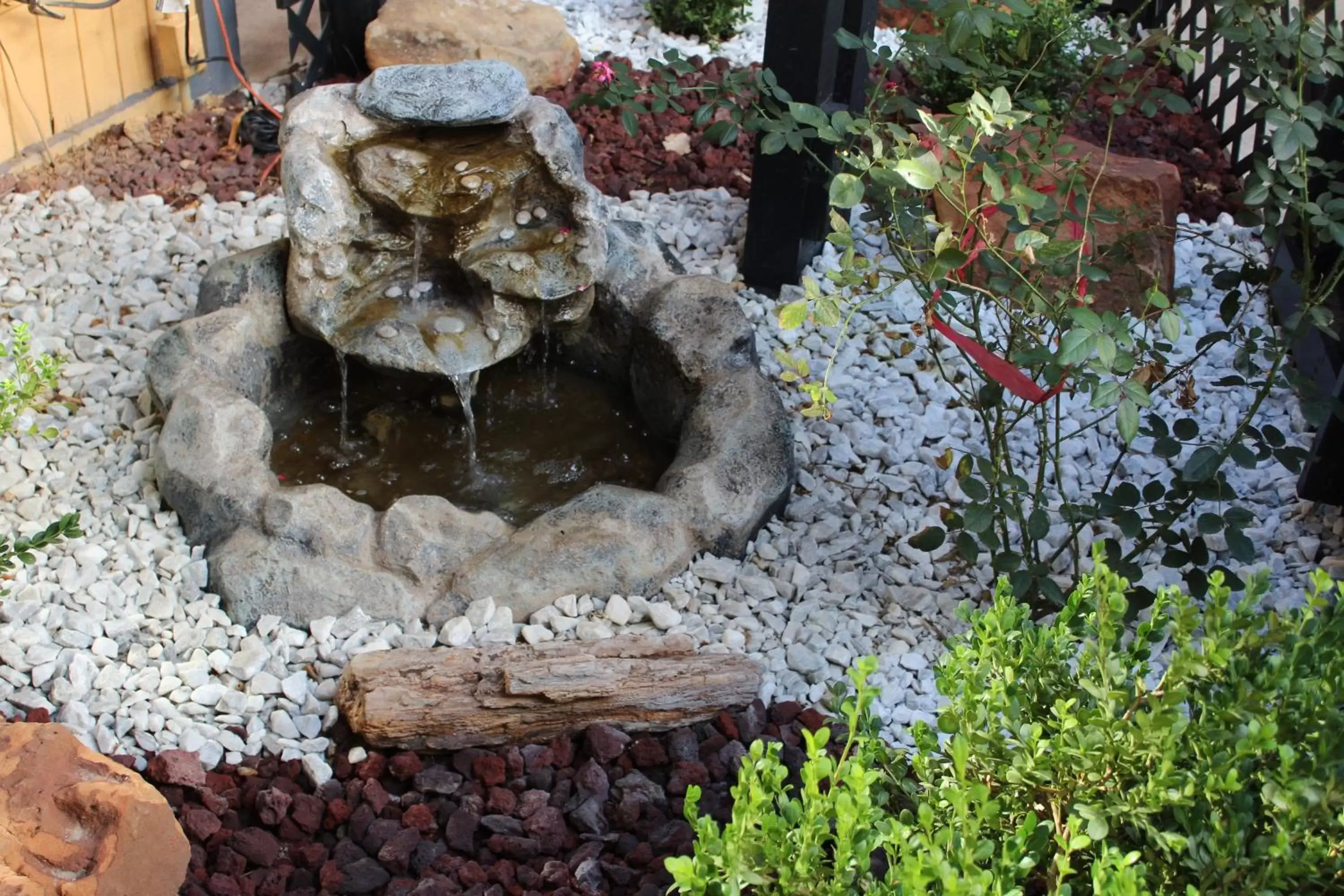 Patio, Natural Landscape in The Executive Inn & Suites