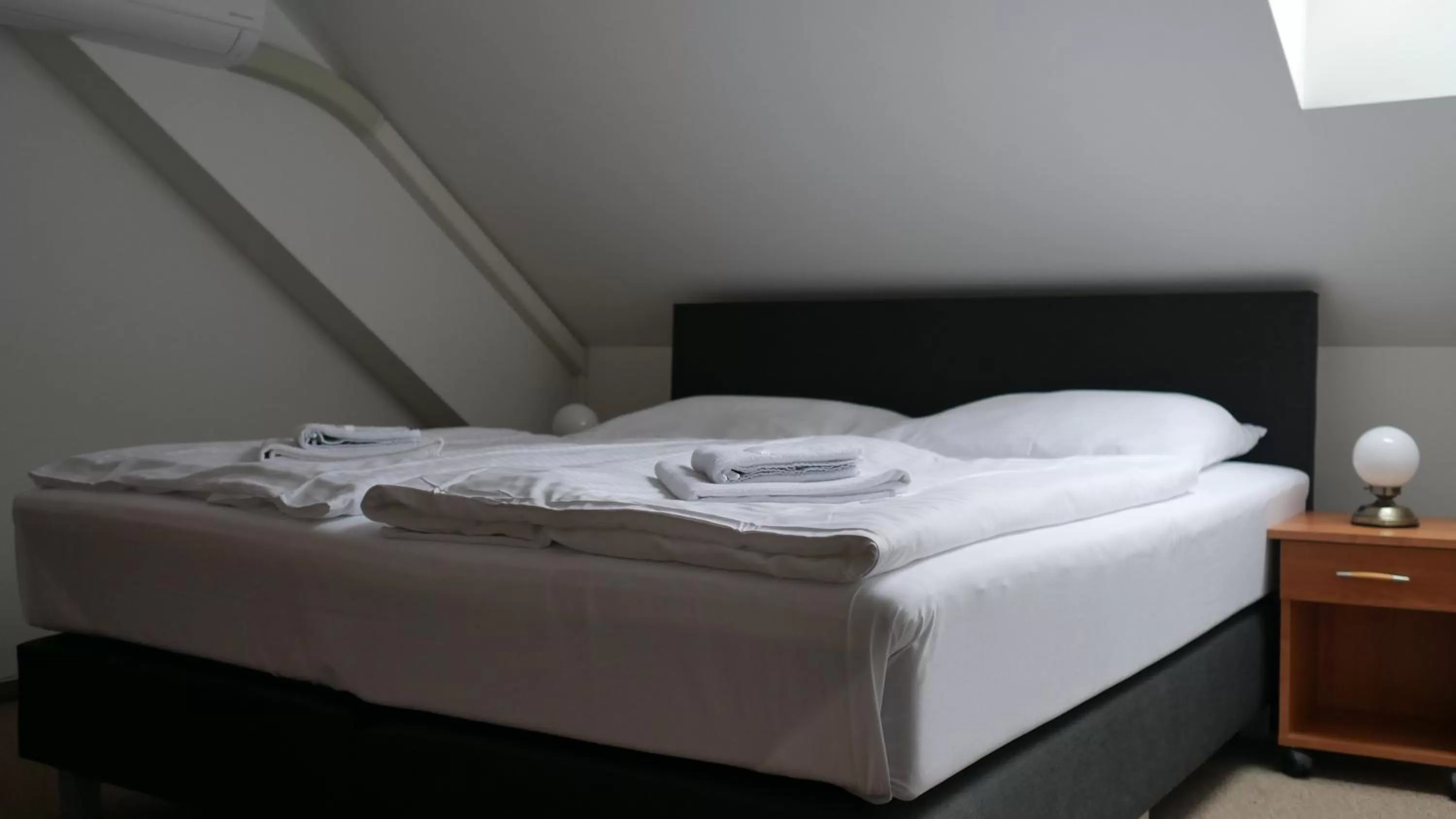 Economy Double or Twin Room in Hotel Bílý Koníček