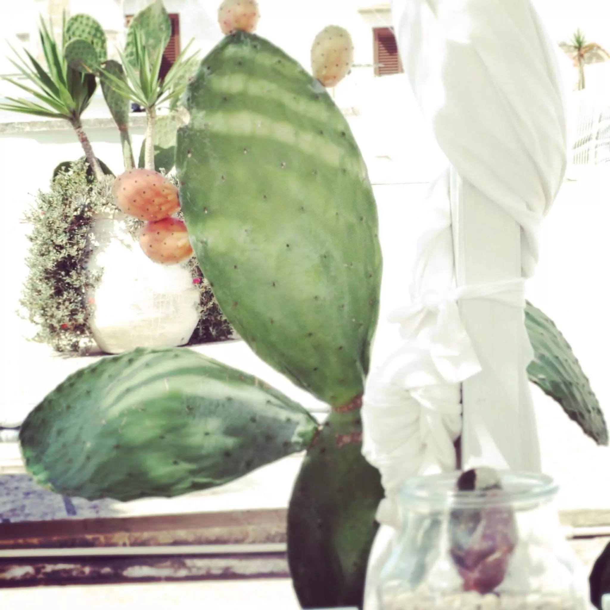 Location, Food in Corte Moline