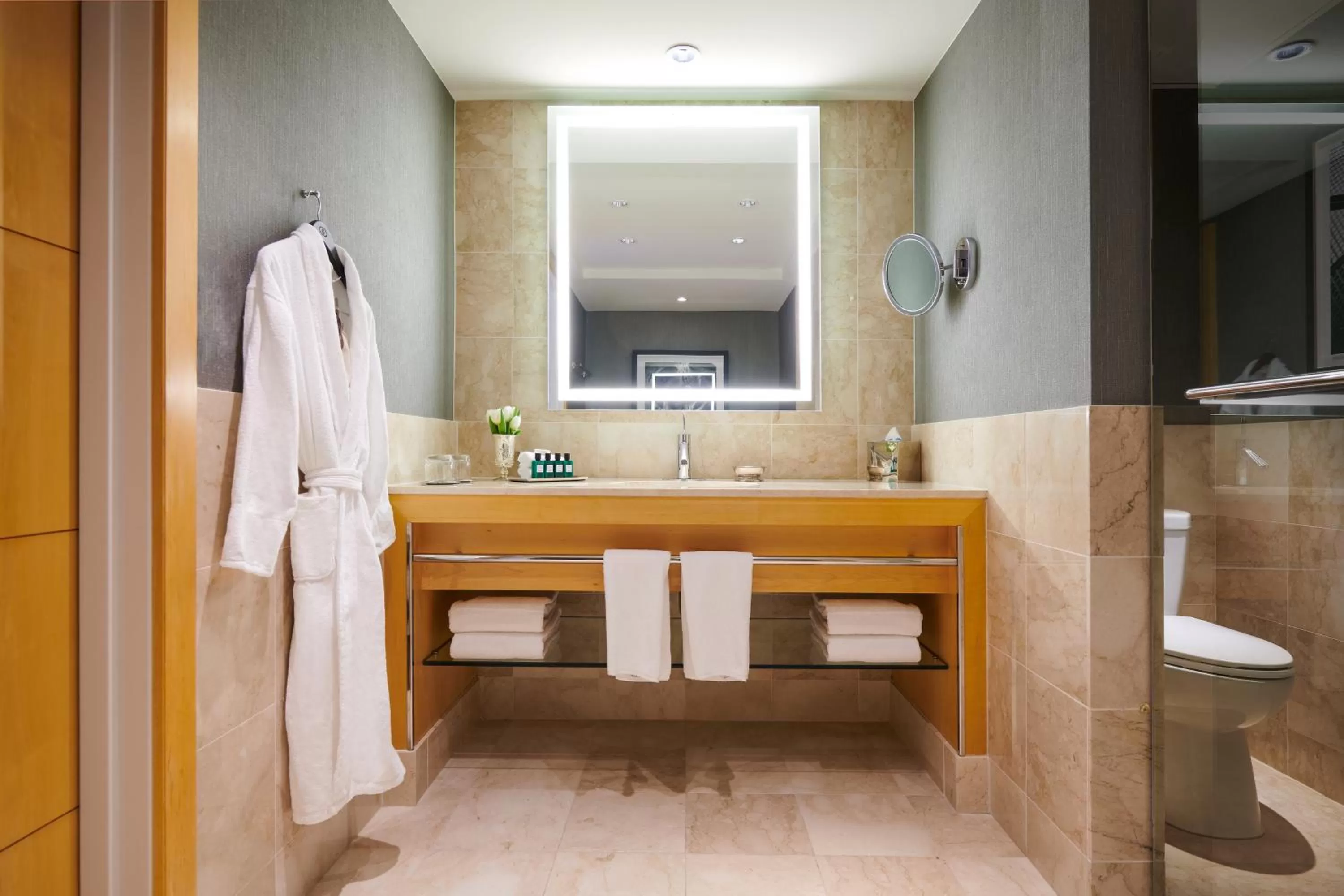 Toilet in Sofitel Chicago Magnificent Mile