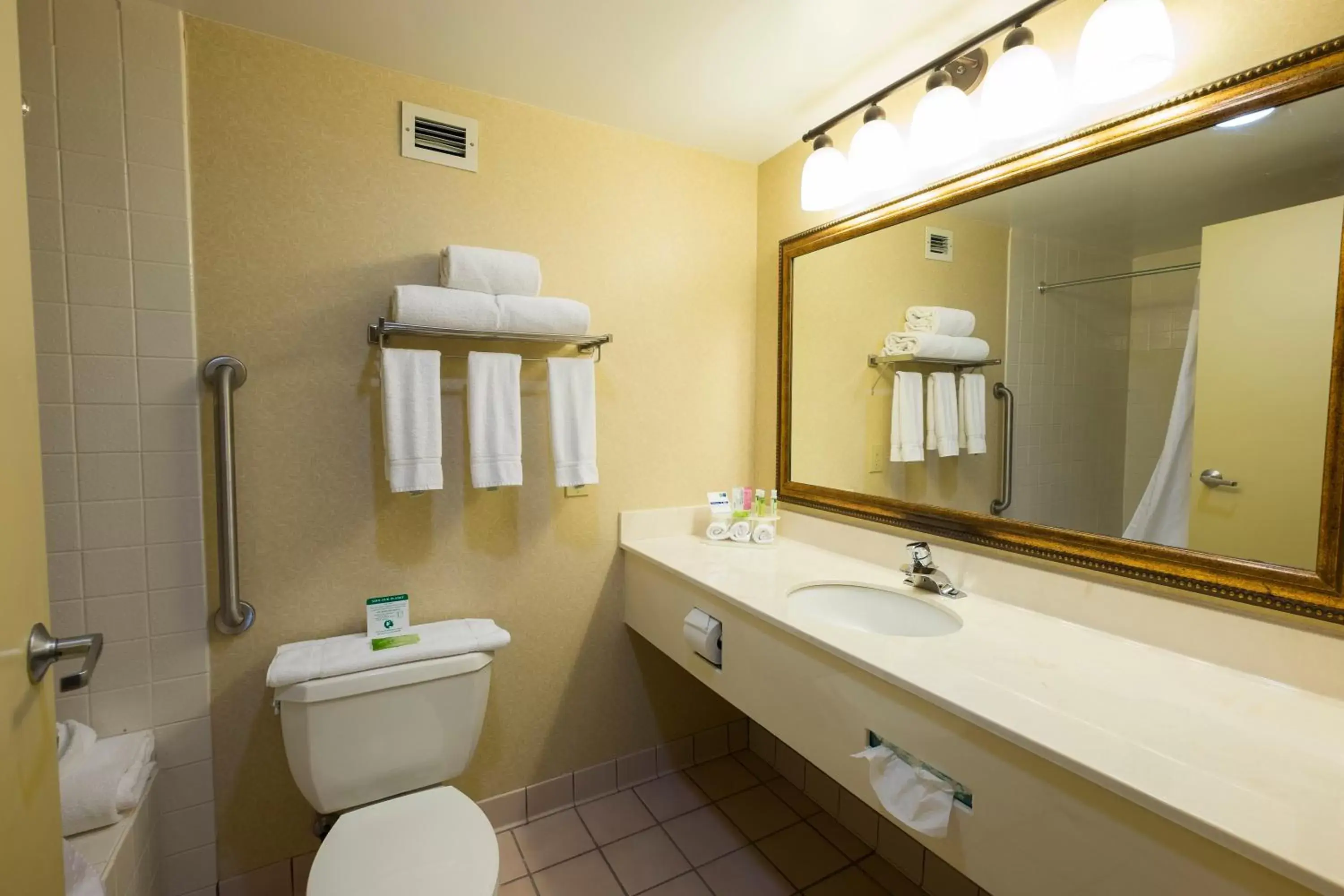 Bathroom in Wingate by Wyndham Waynesboro