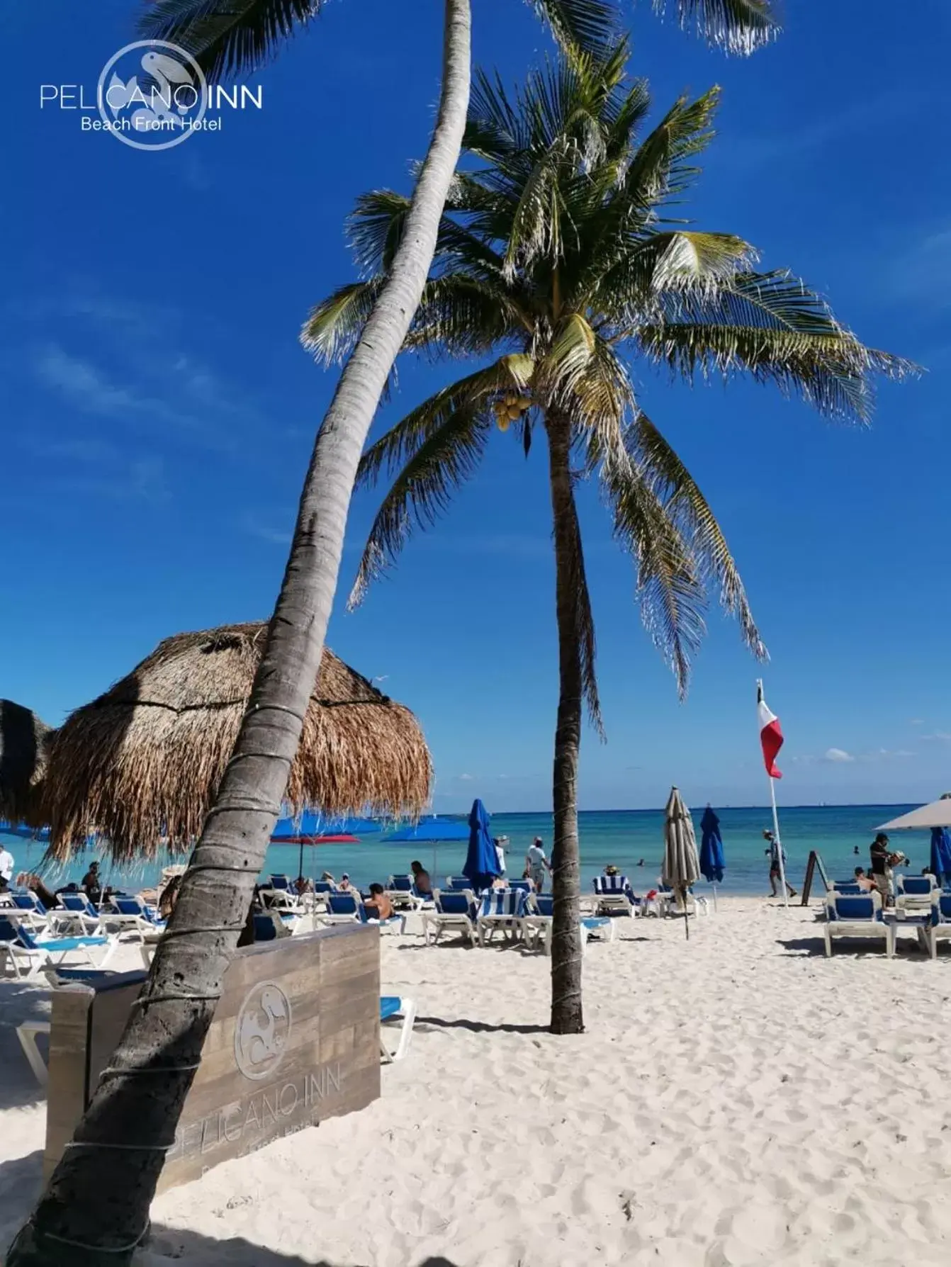 Beach in Pelicano Inn Playa del Carmen - Beachfront Hotel