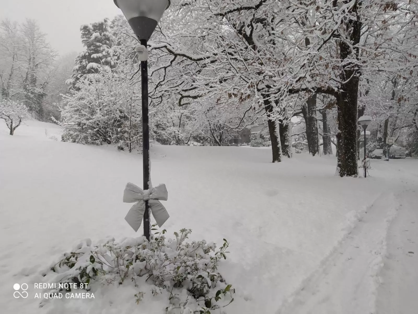 Garden in "La Selvetta" bed and breakfast