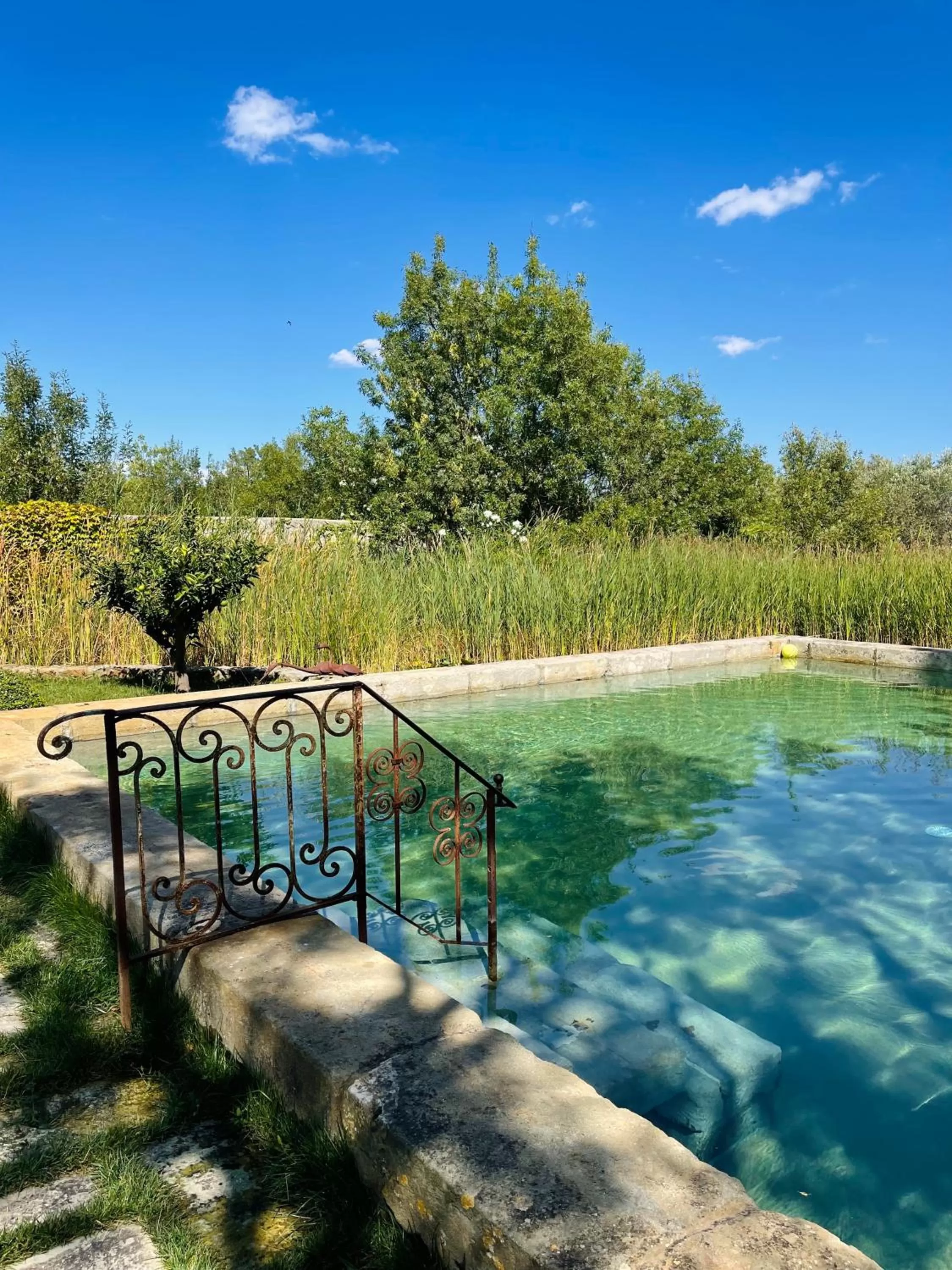 Pool view in WAYA à Domaine Saint Domingue