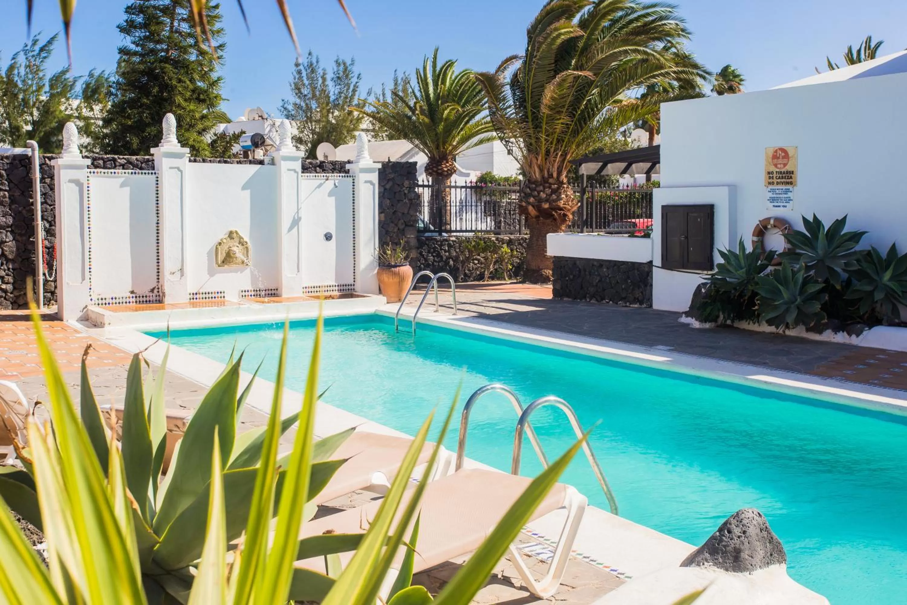 Swimming pool in Los Tulipanes