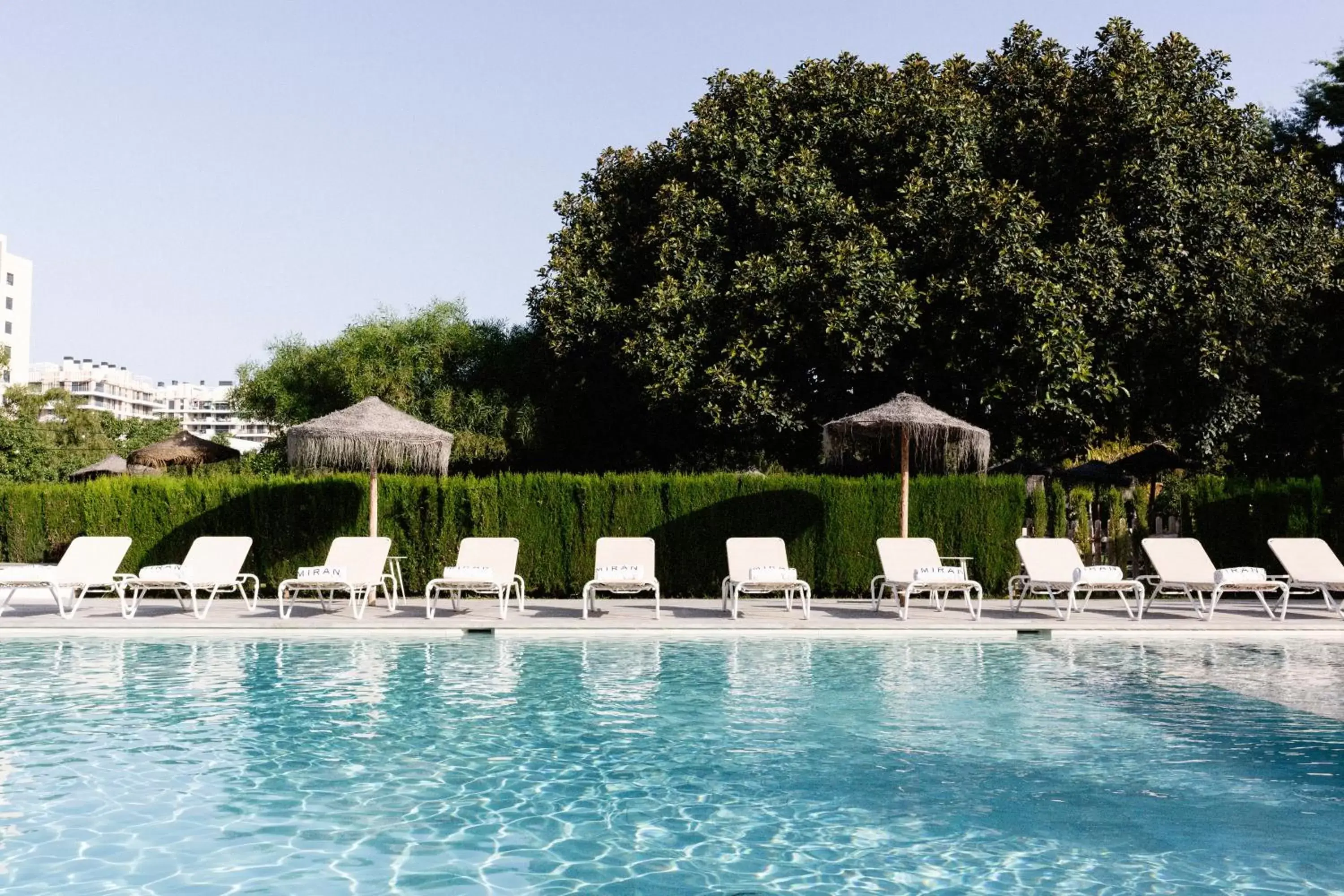 Garden, Swimming Pool in Hotel Almirante