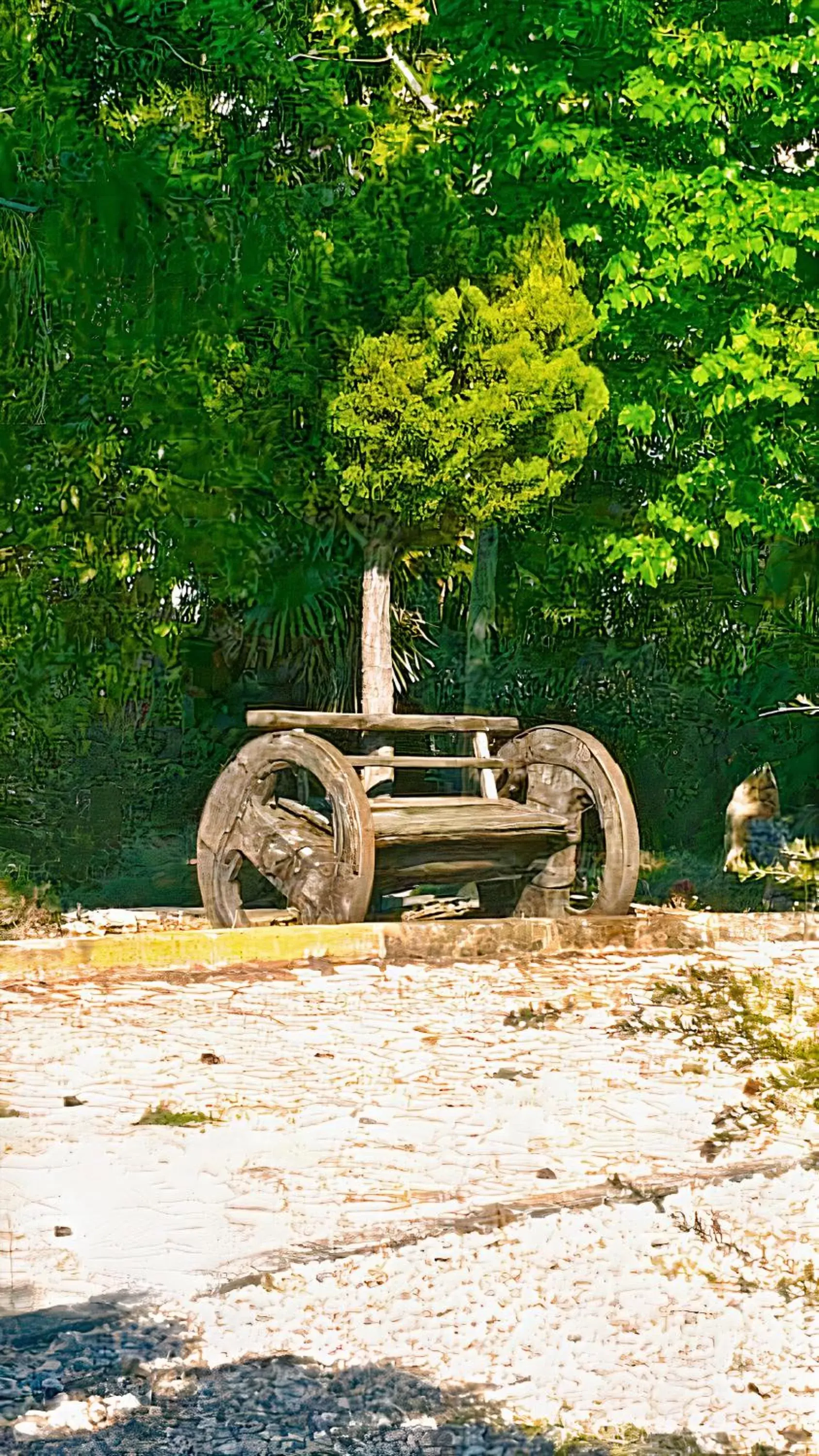 Garden in A Flor da Rosa