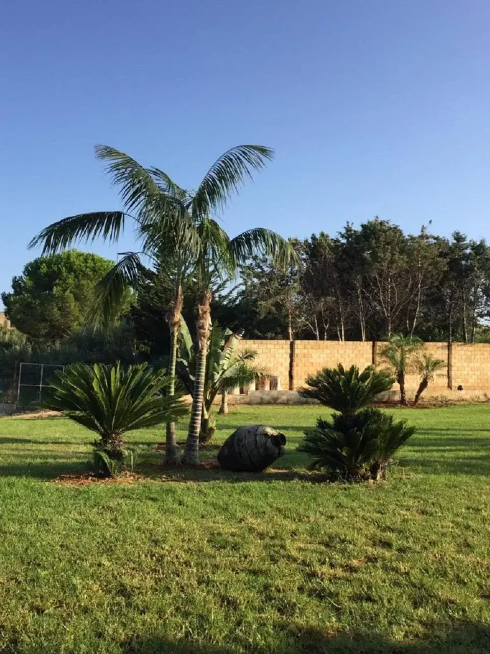 Children play ground, Garden in Petruso Resort