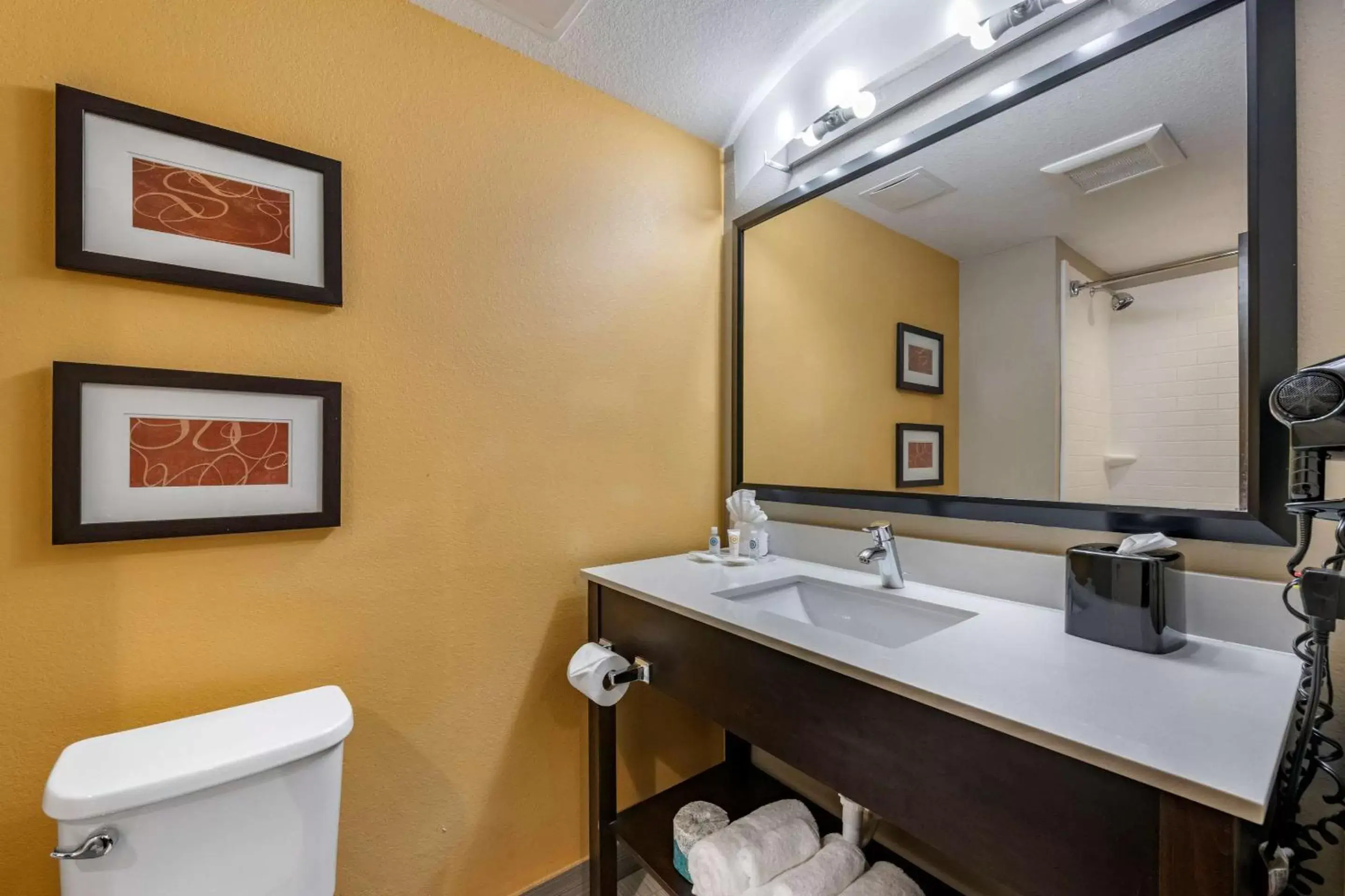 Bathroom in Comfort Suites Fort Lauderdale Airport South & Cruise Port