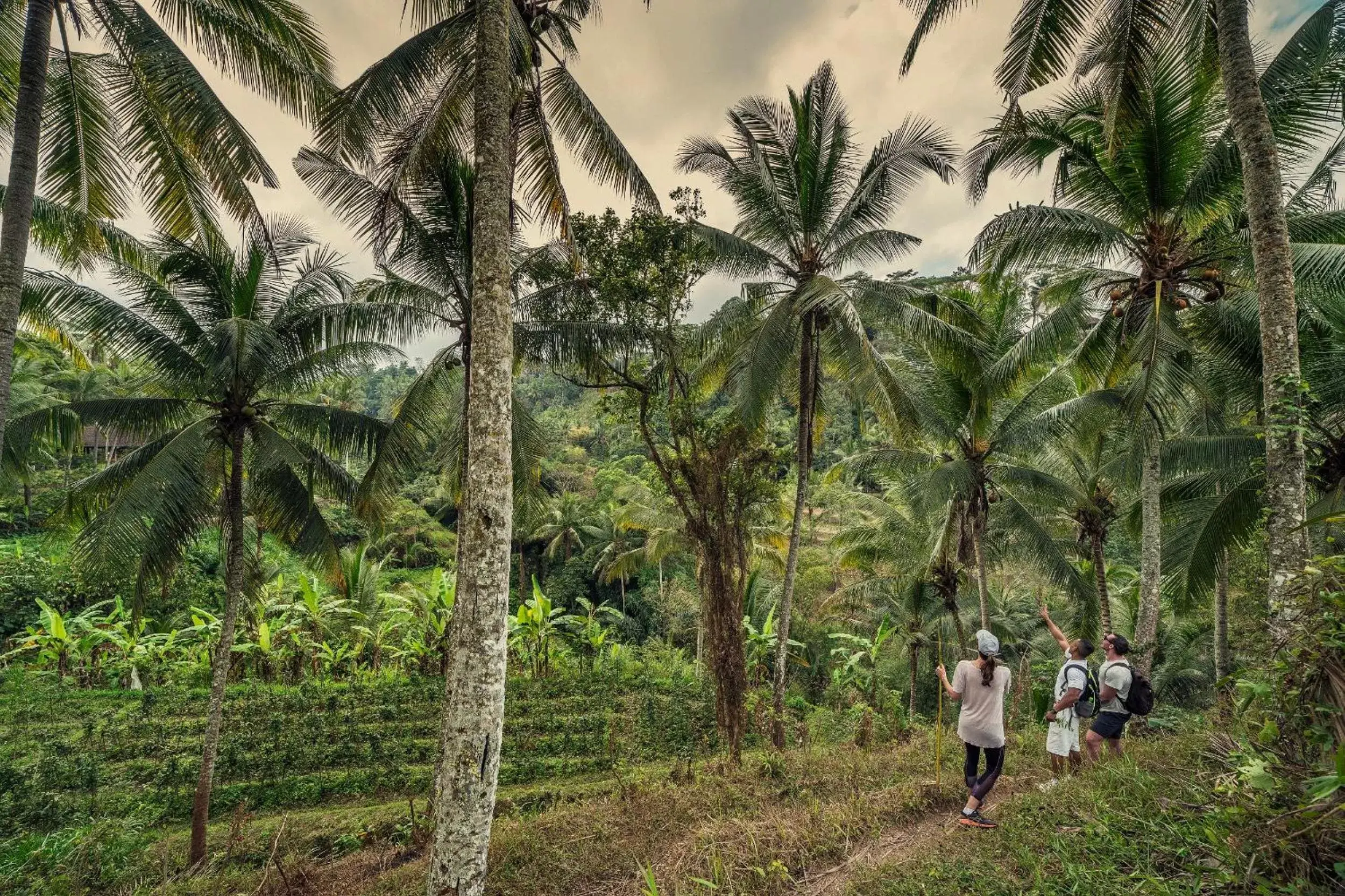 Neighbourhood in Four Seasons Resort Bali at Sayan