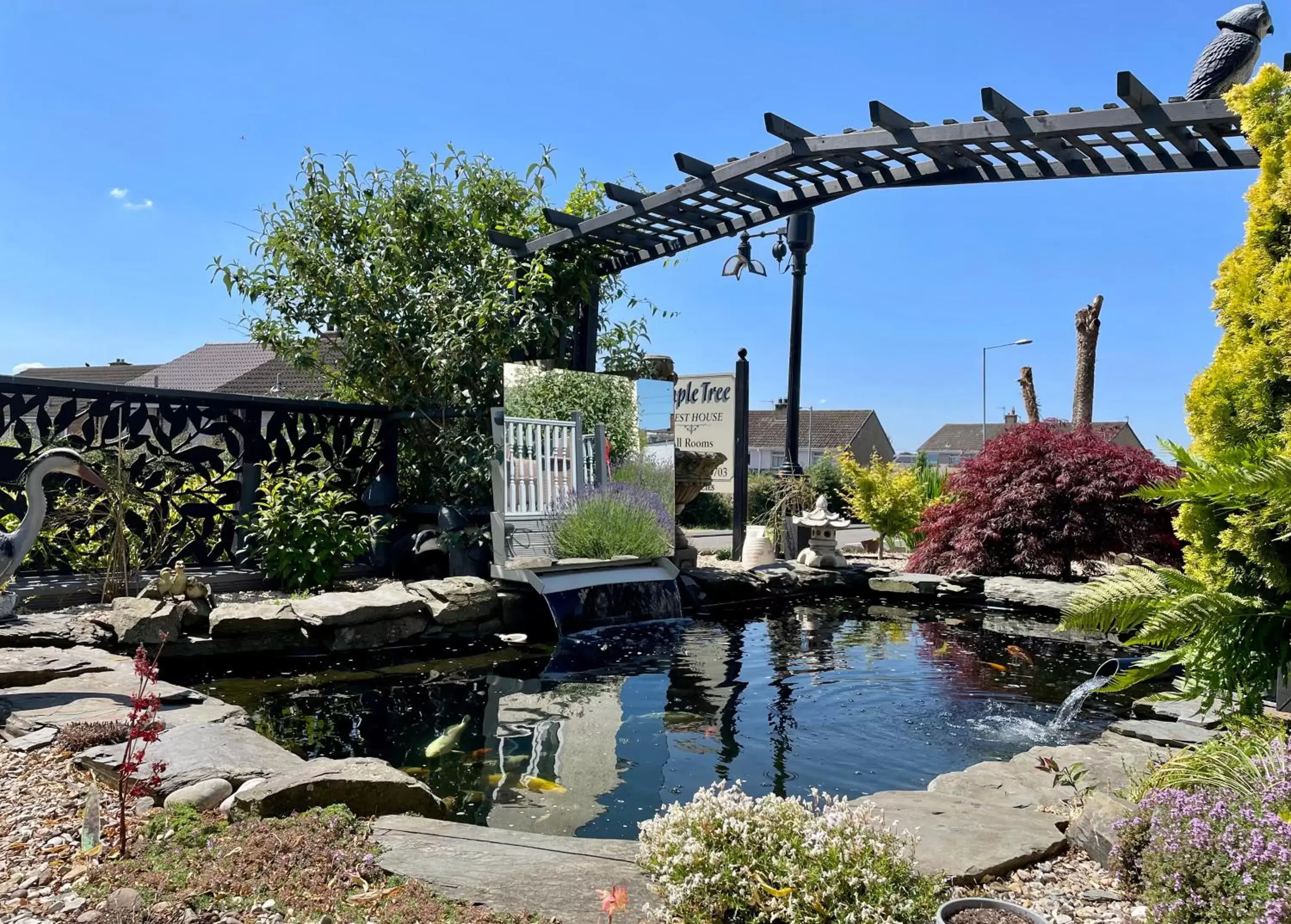 Garden in Bojangles Guest House