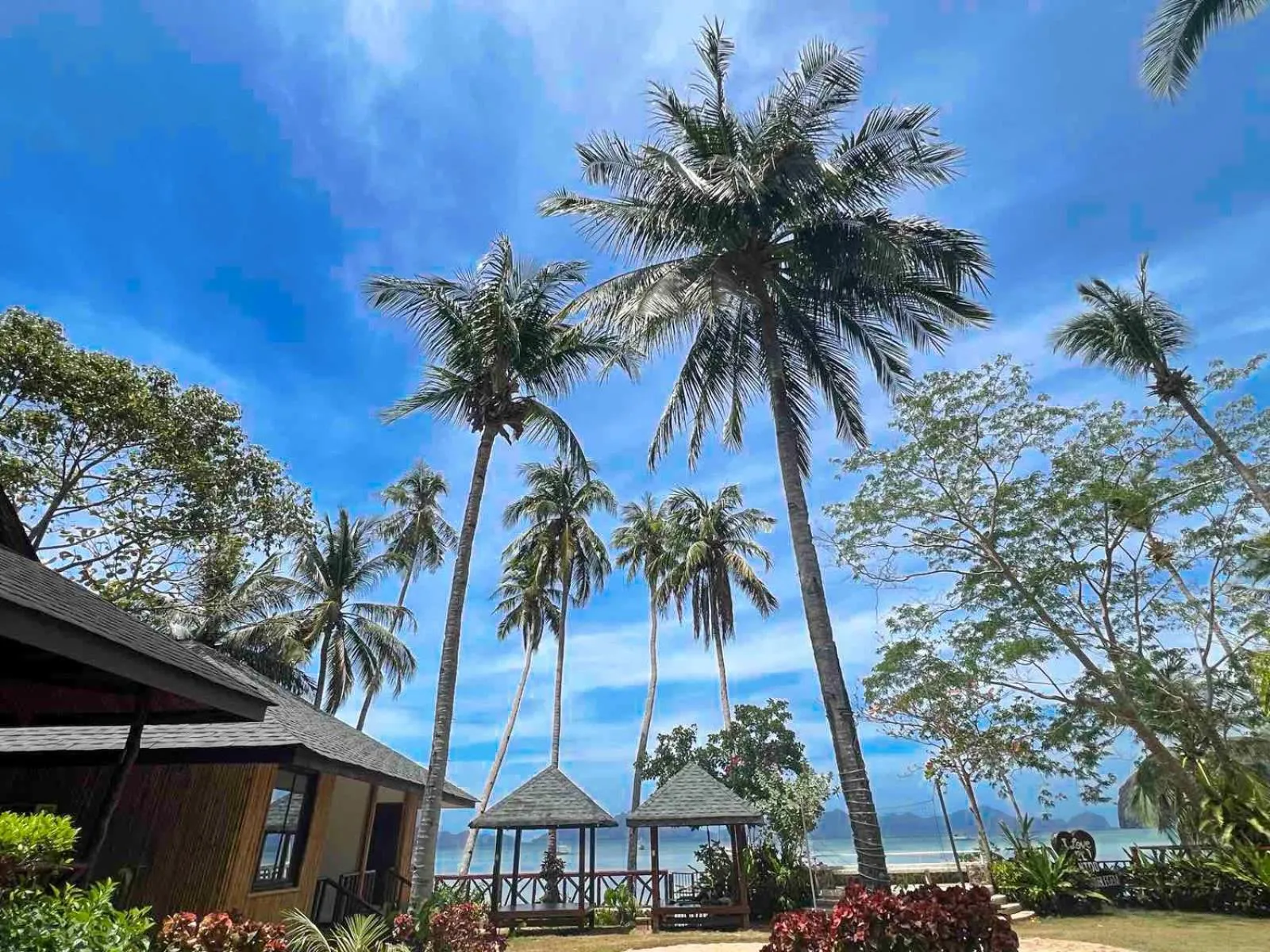 Garden view in Doublegem Beach Resort and Hotel