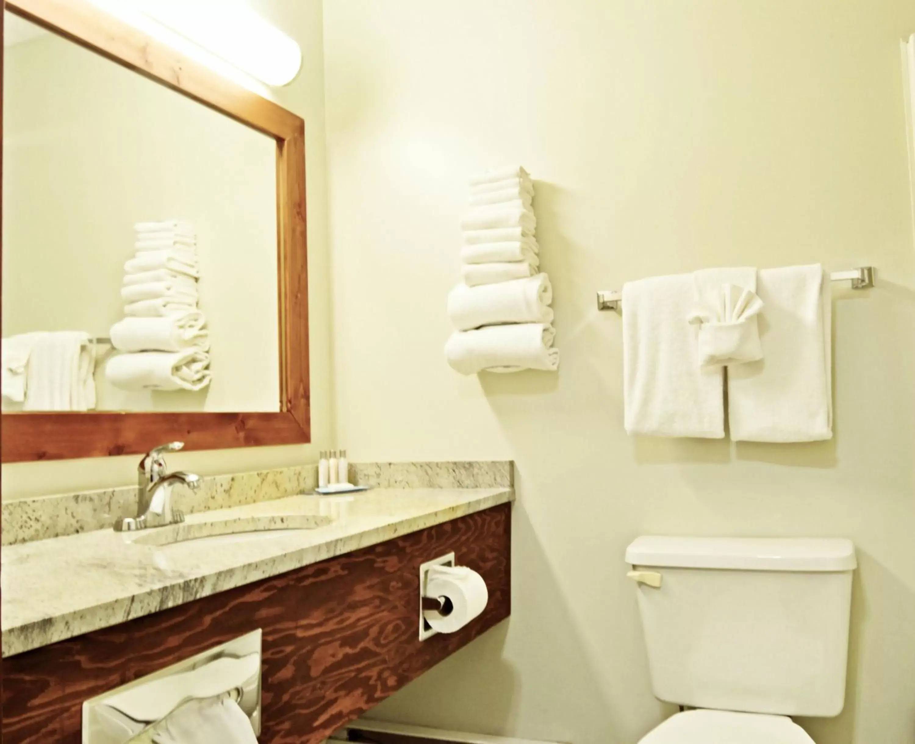 Bathroom in Travelodge by Wyndham Golden Sportsman Lodge