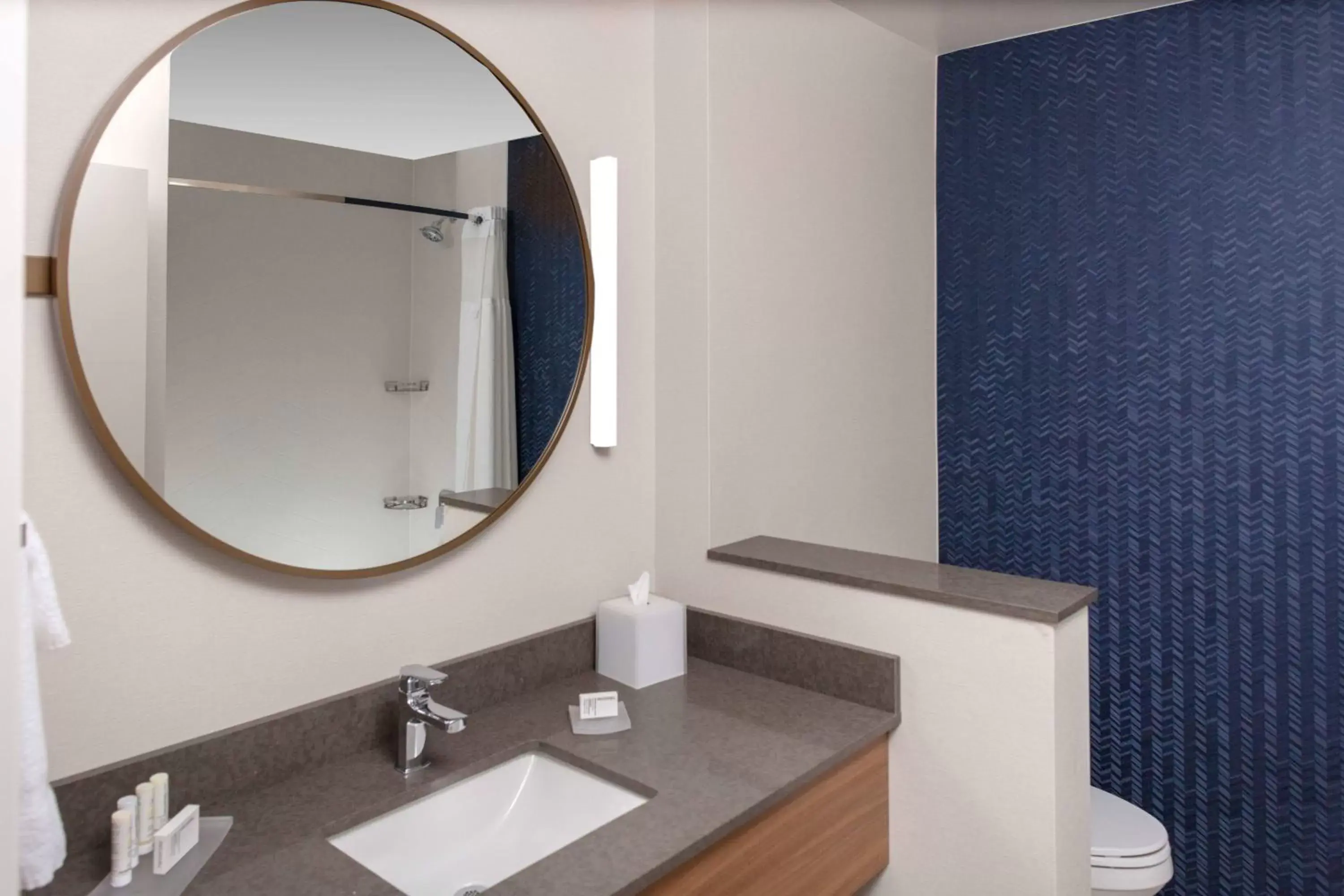 Bathroom in Fairfield by Marriott Inn & Suites Medford