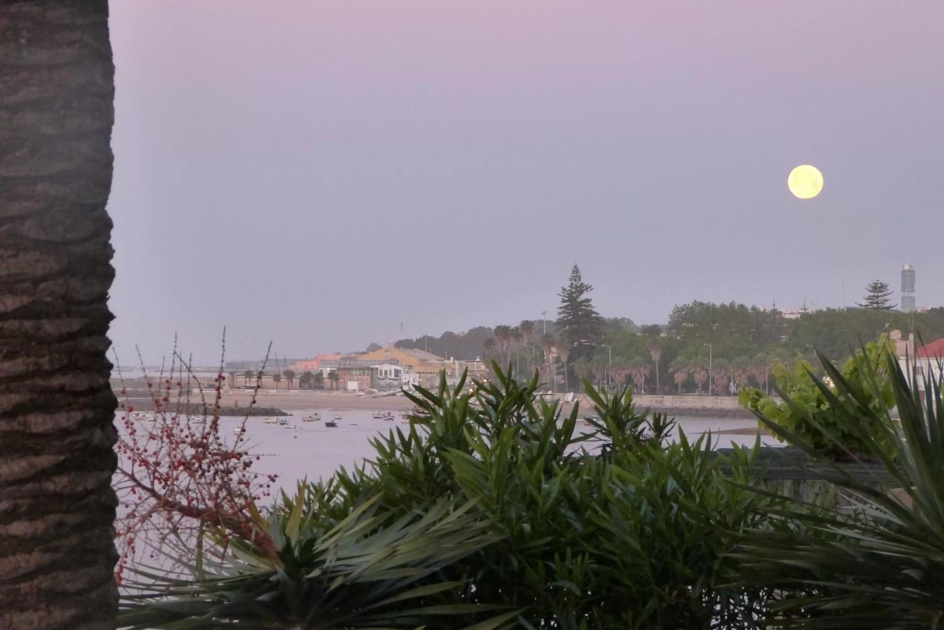 View (from property/room) in Hotel Solar Palmeiras